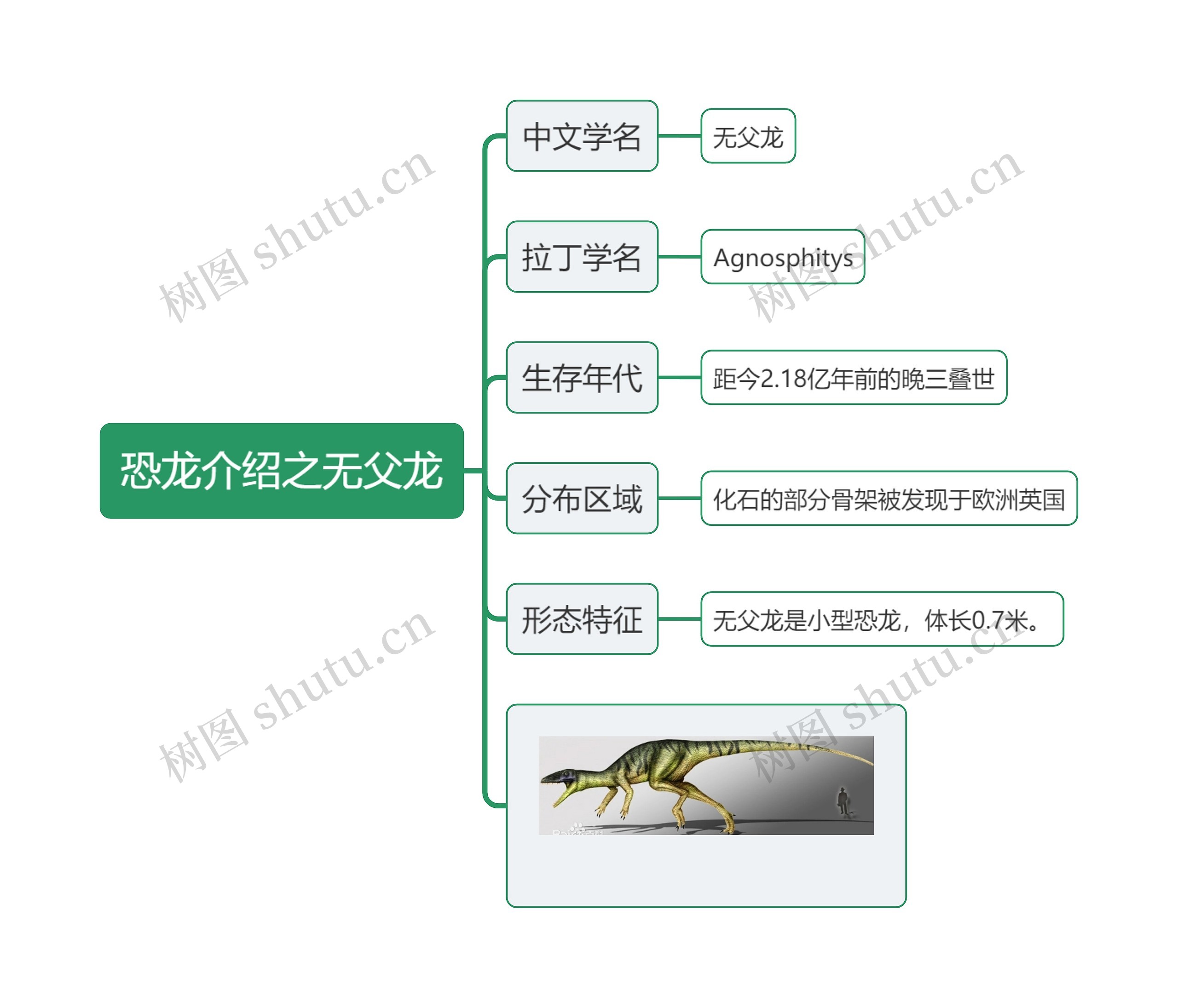 恐龙介绍之无父龙思维导图