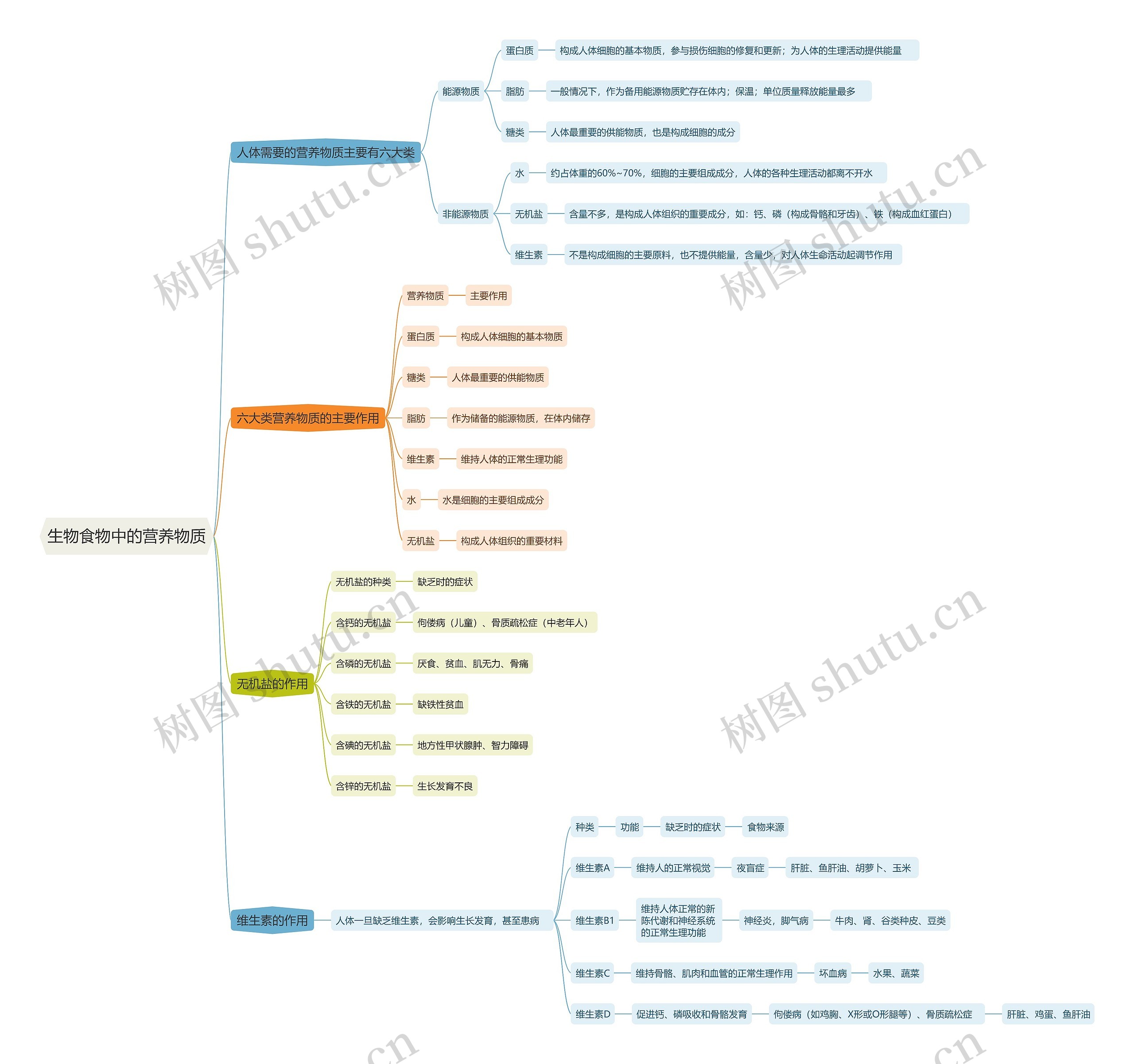 生物食物中的营养物质思维导图