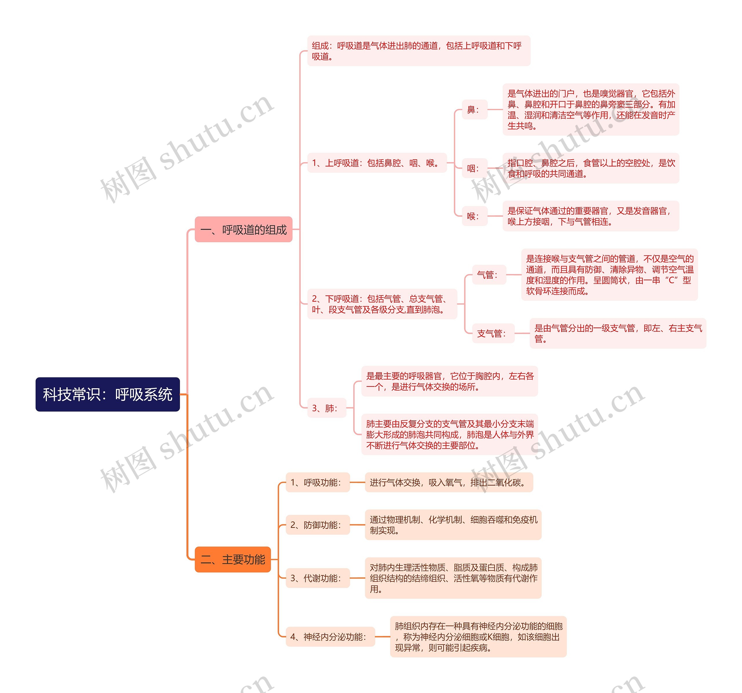 公基生物常识呼吸系统思维导图