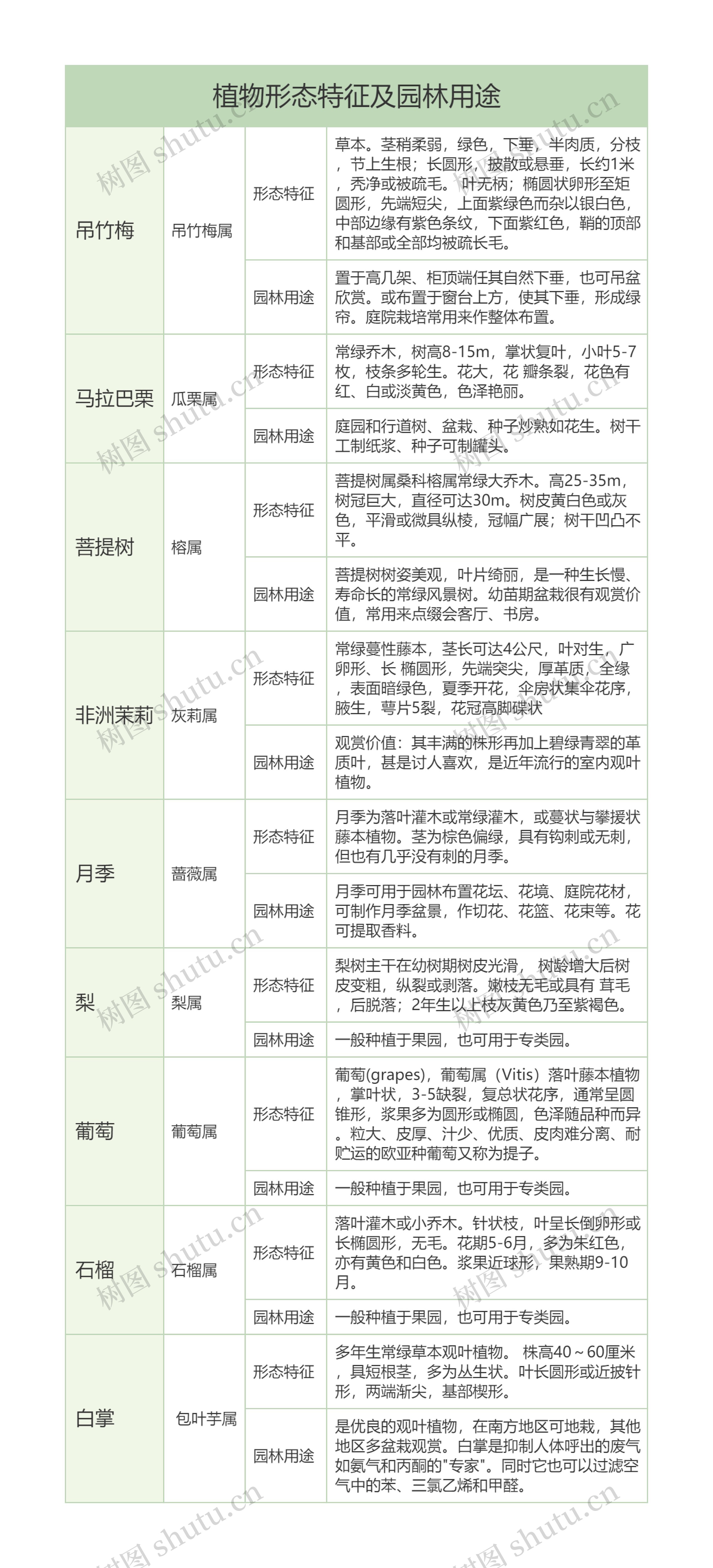 初中生物植物形态及园林用途树形表格