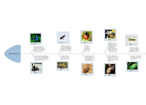 昆虫记昆虫种类介绍