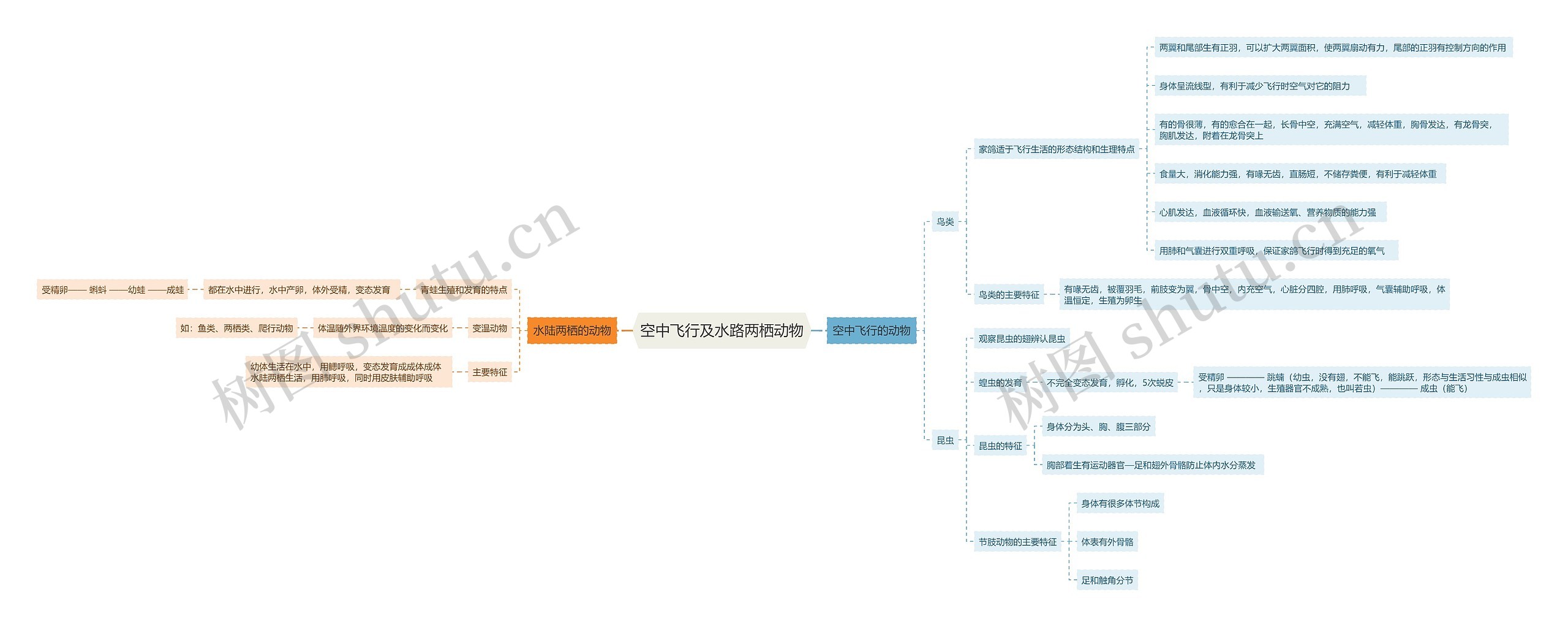 空中飞行及水路两栖动物思维导图