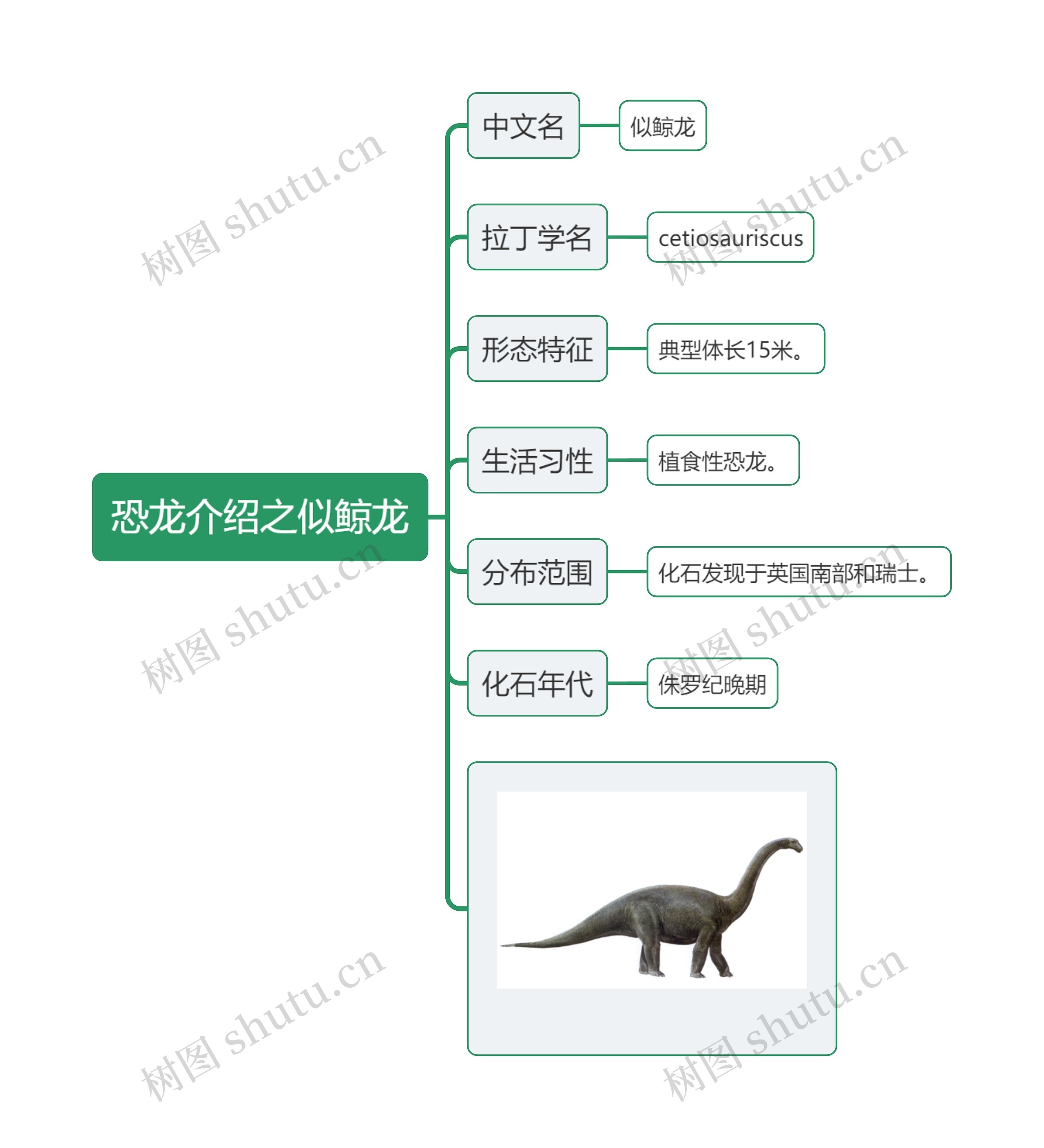 恐龙介绍之似鲸龙思维导图