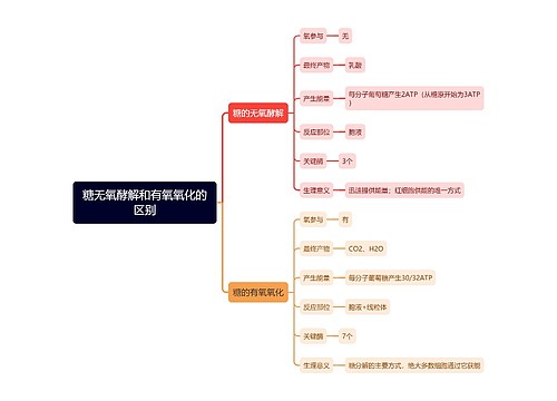 糖无氧酵解和有氧氧化的区别思维导图