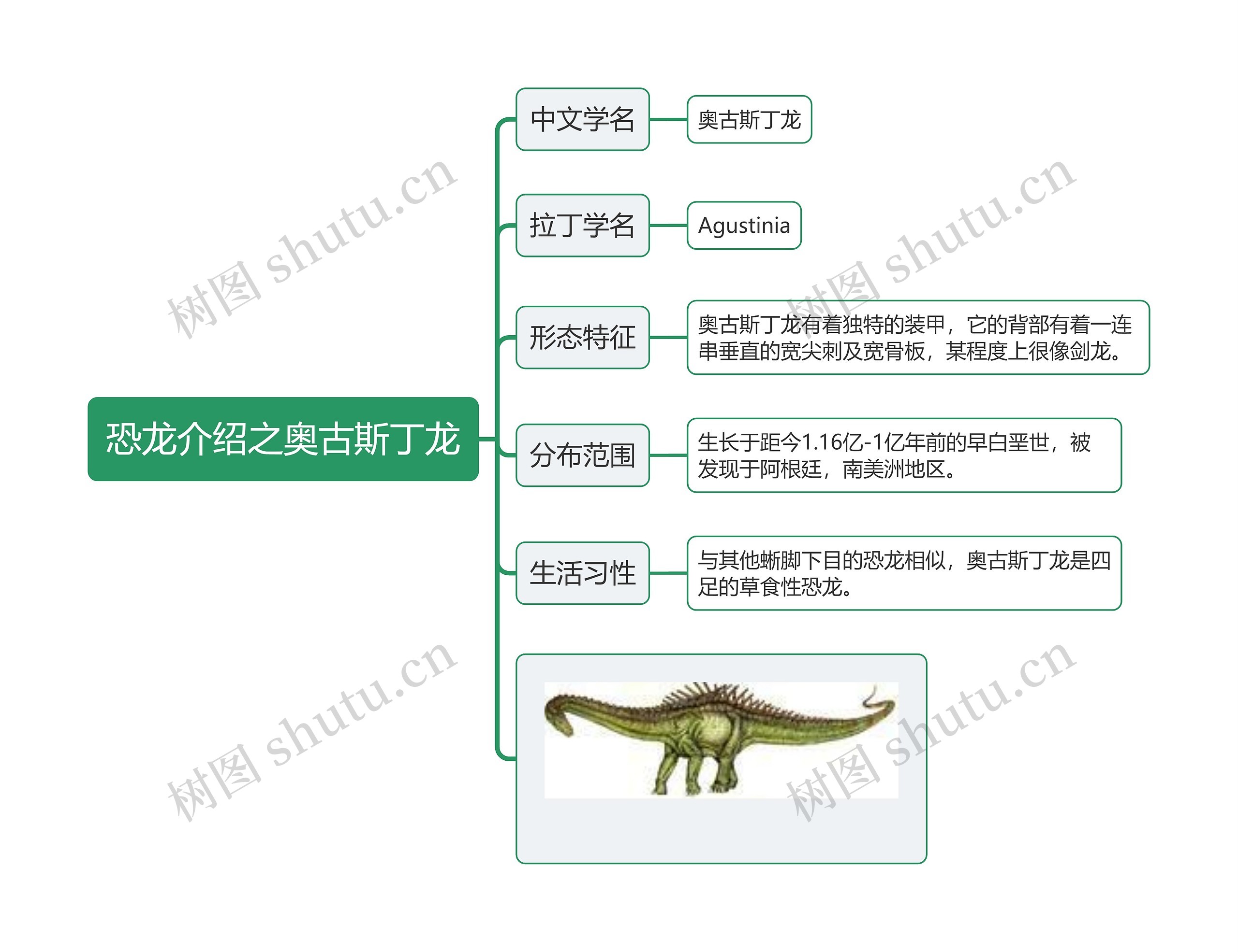 恐龙介绍之奥古斯丁龙思维导图