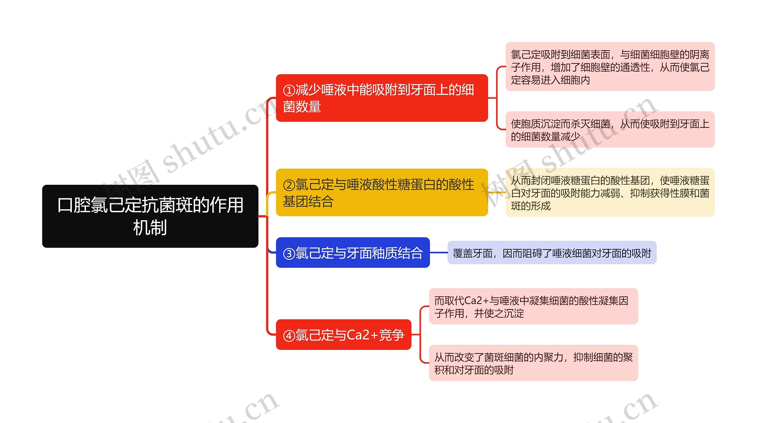 口腔氯己定抗菌斑的作用机制思维导图