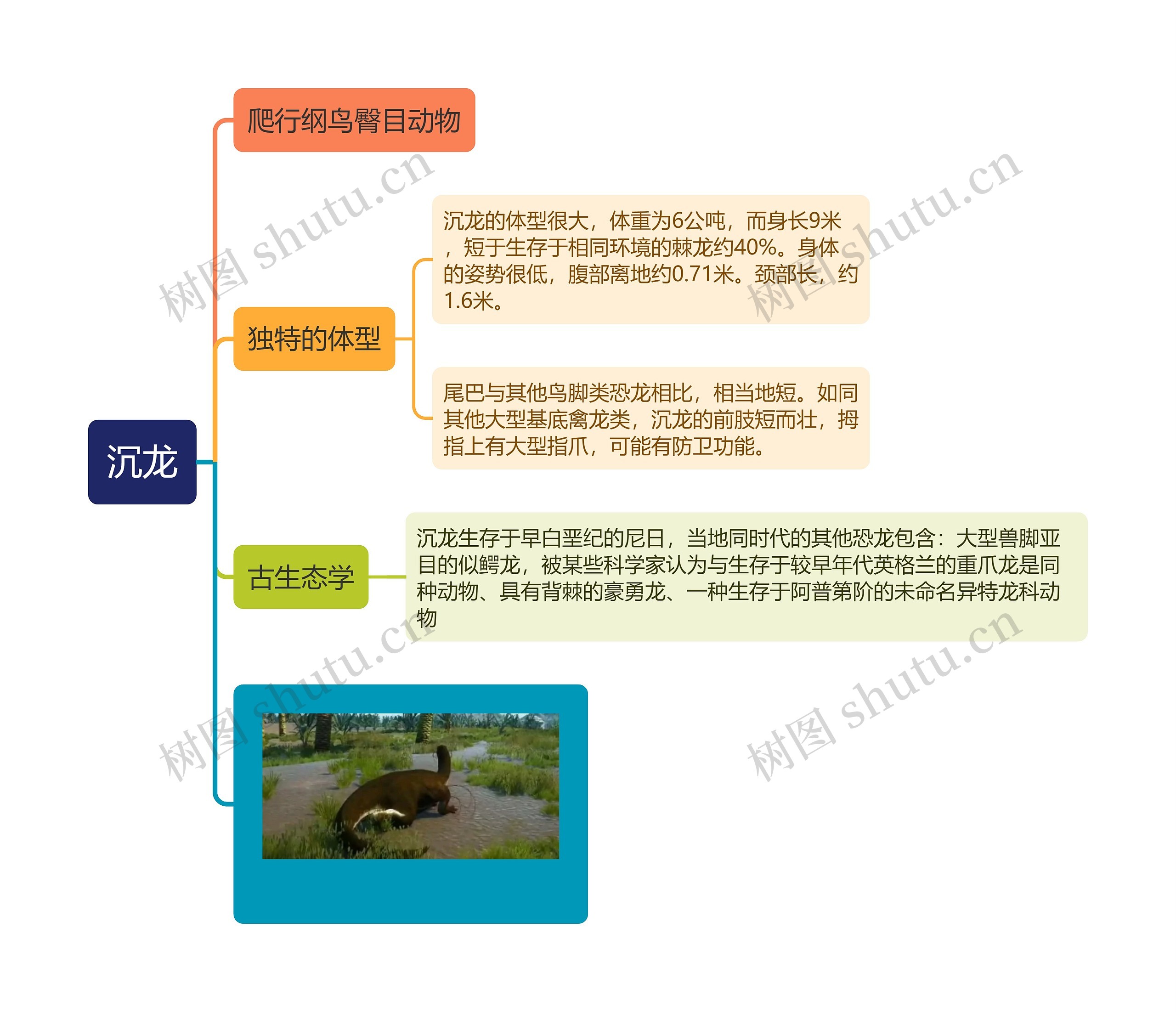 沉龙思维导图