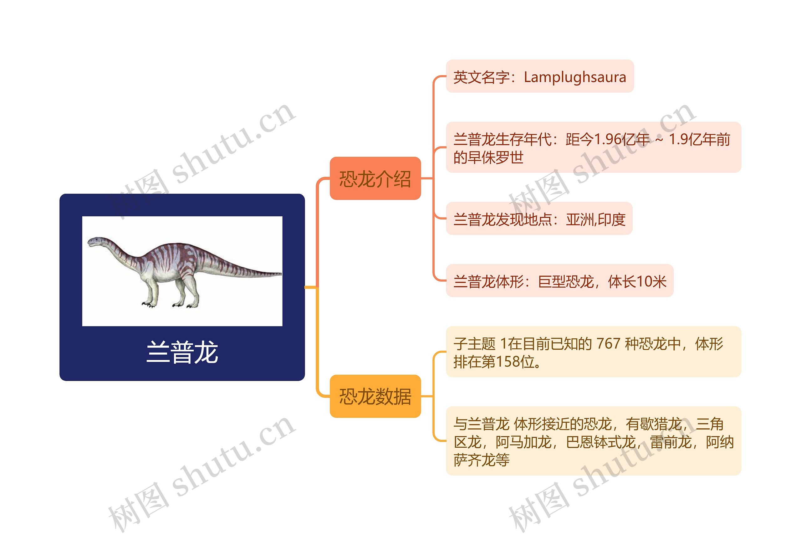 兰普龙思维导图