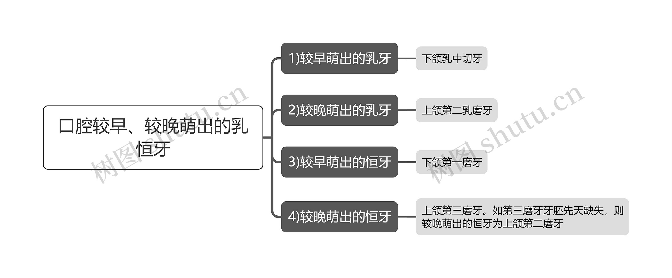 口腔较早、较晚萌出的乳恒牙思维导图