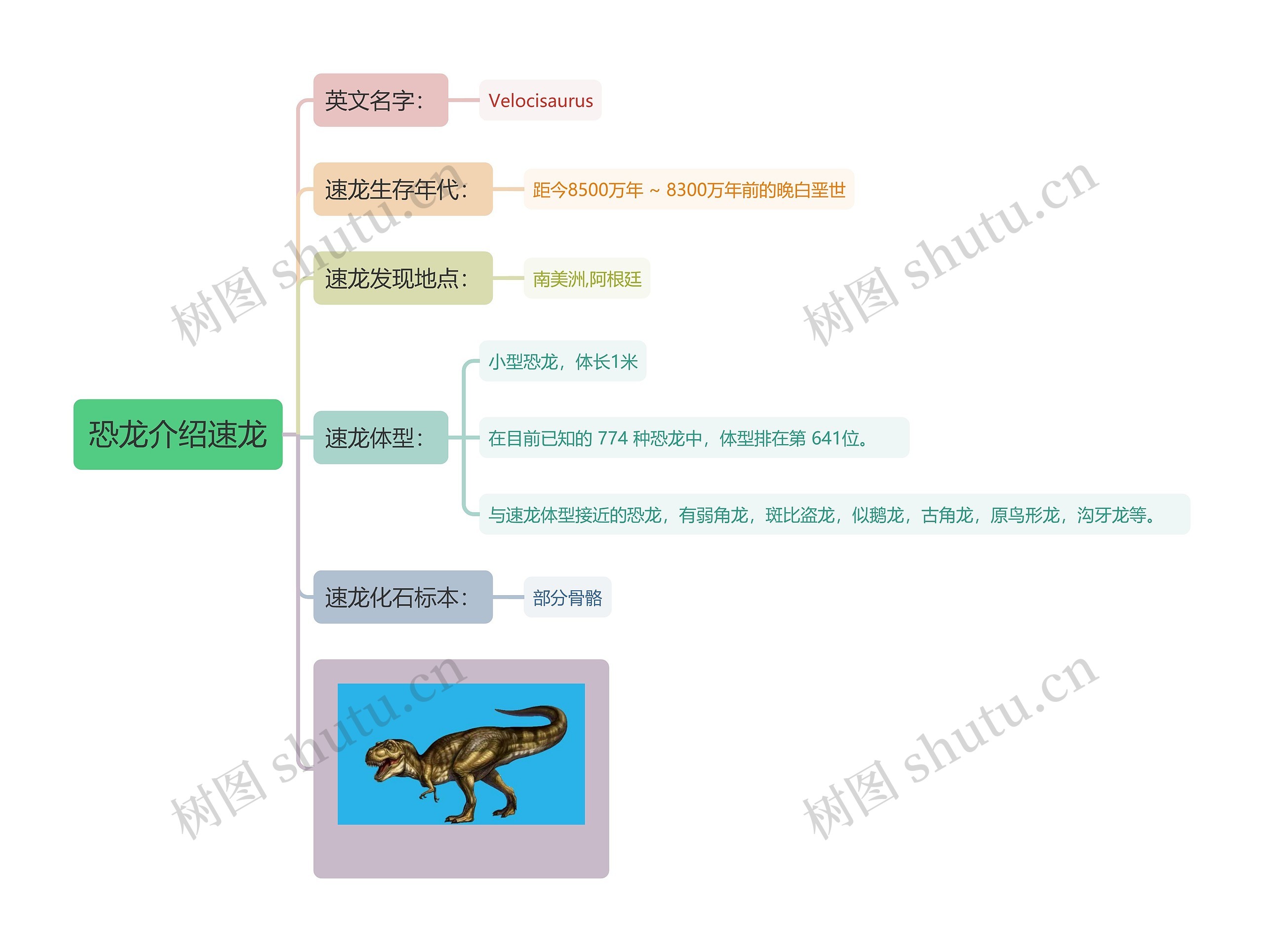 恐龙介绍速龙