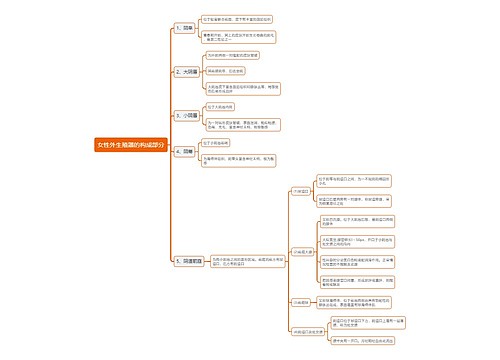 女性外生殖器的构成部分思维导图