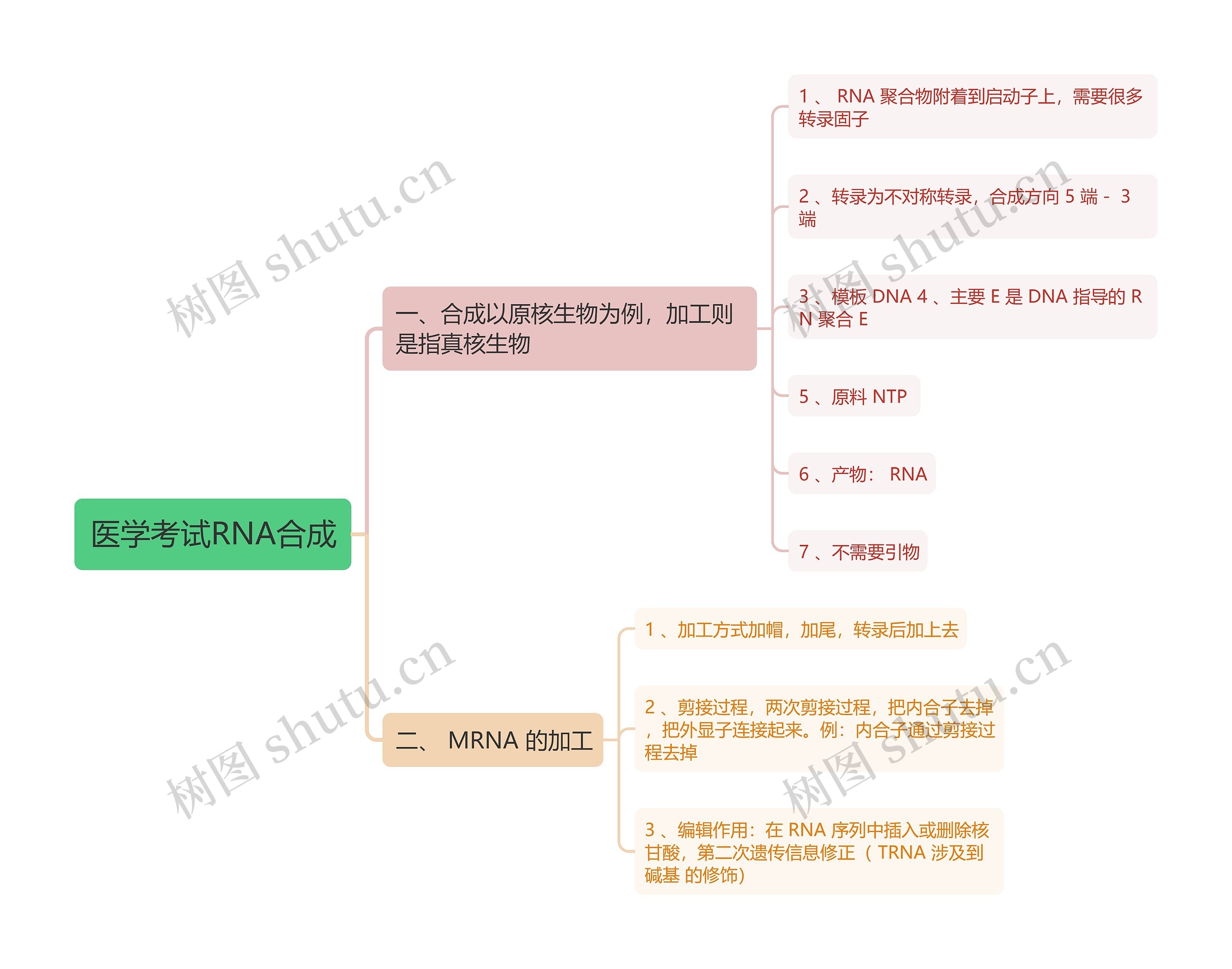 医学考试RNA合成思维导图高清图 医学考试RNA合成思维导图