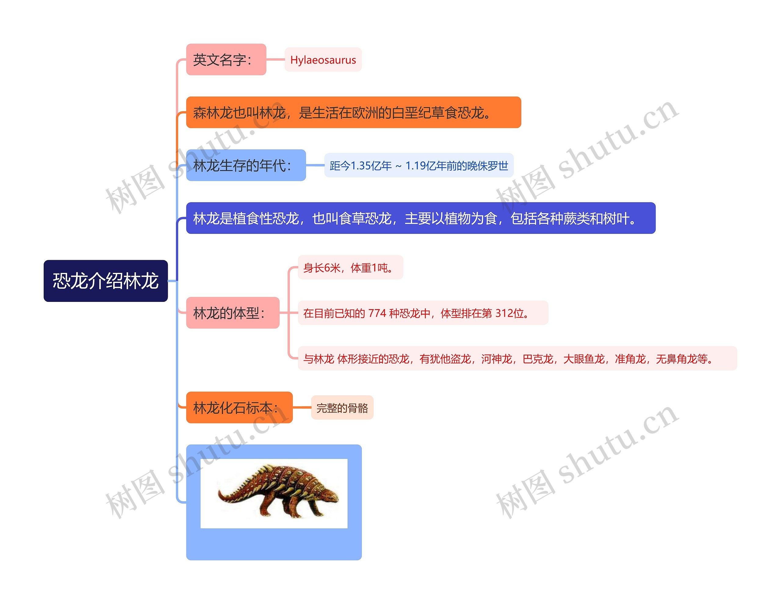 恐龙介绍林龙思维导图