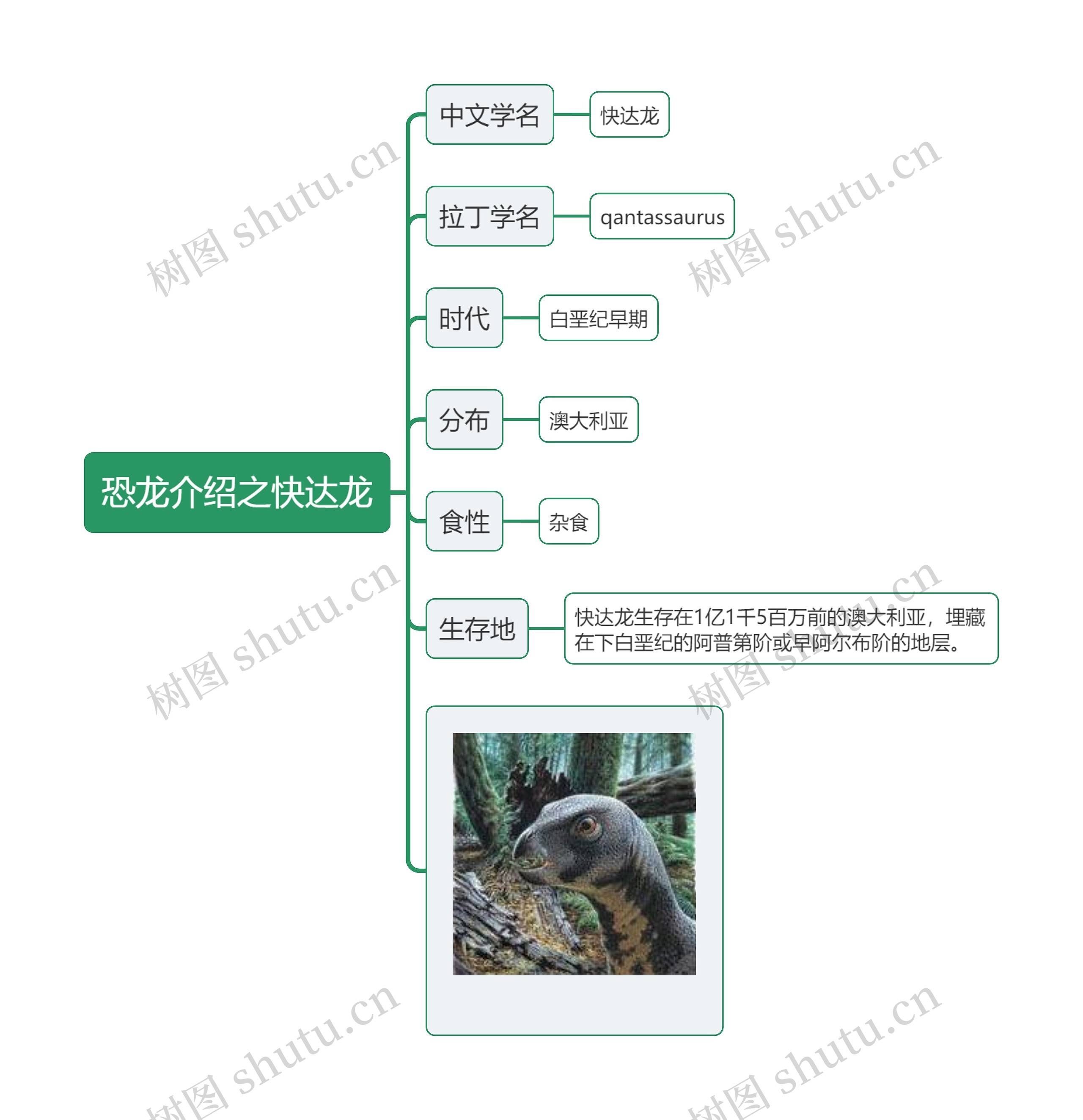 恐龙介绍之快达龙思维导图