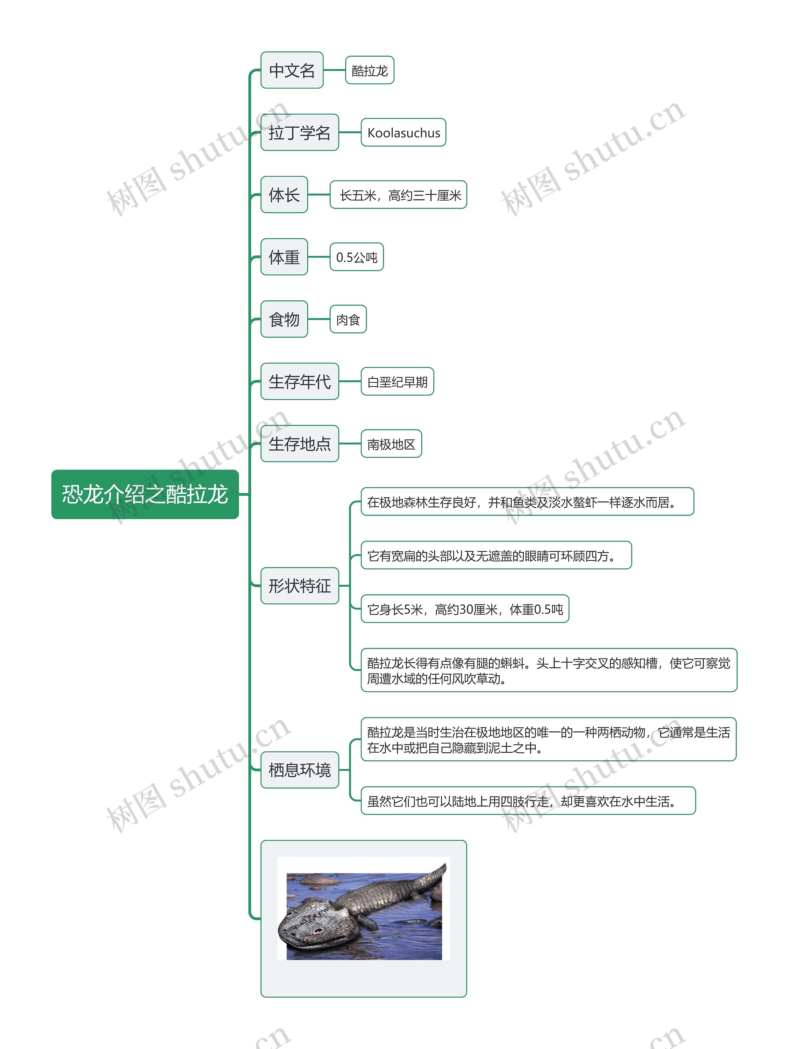 恐龙介绍之酷拉龙思维导图