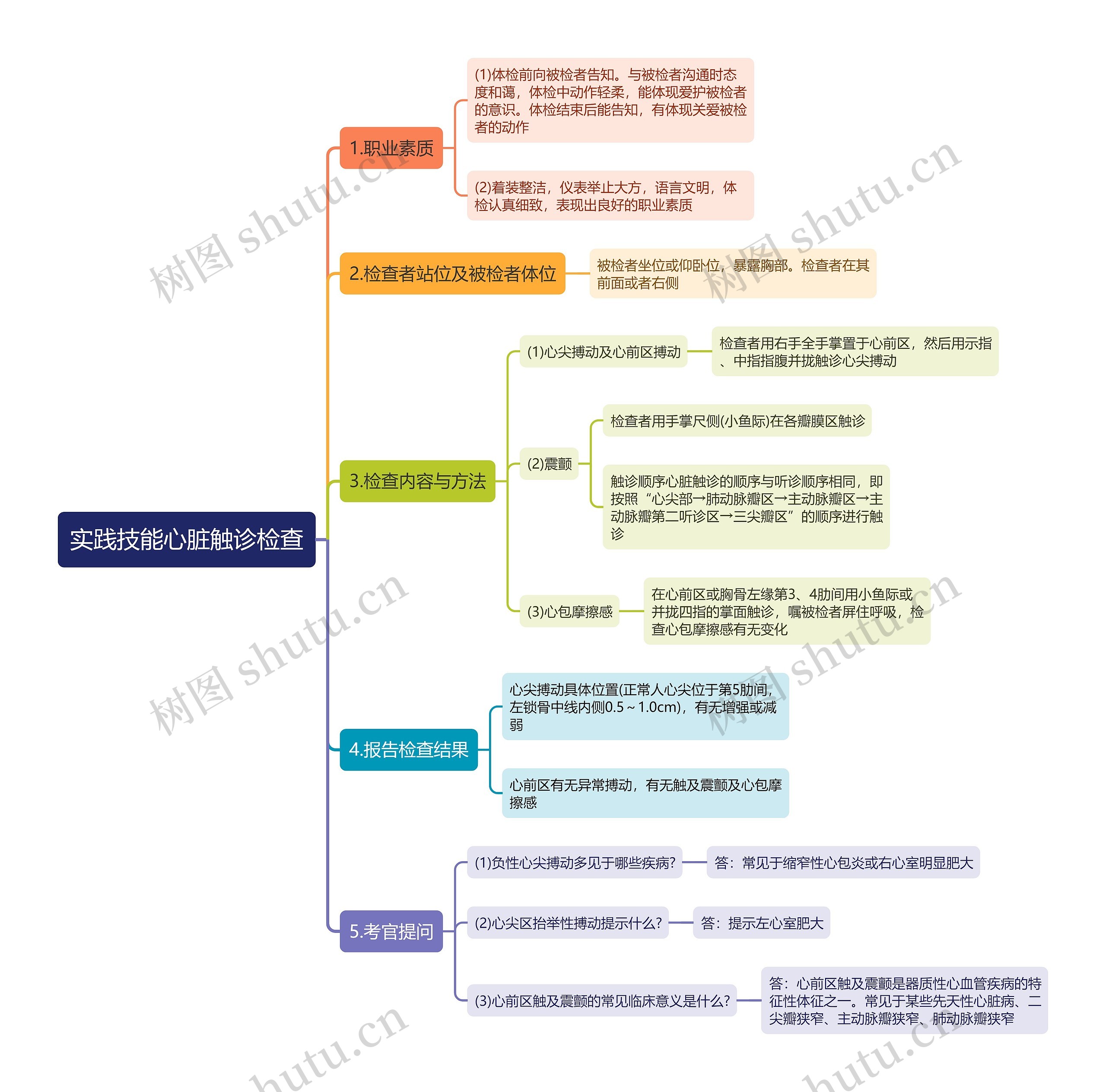 实践技能心脏触诊检查思维导图