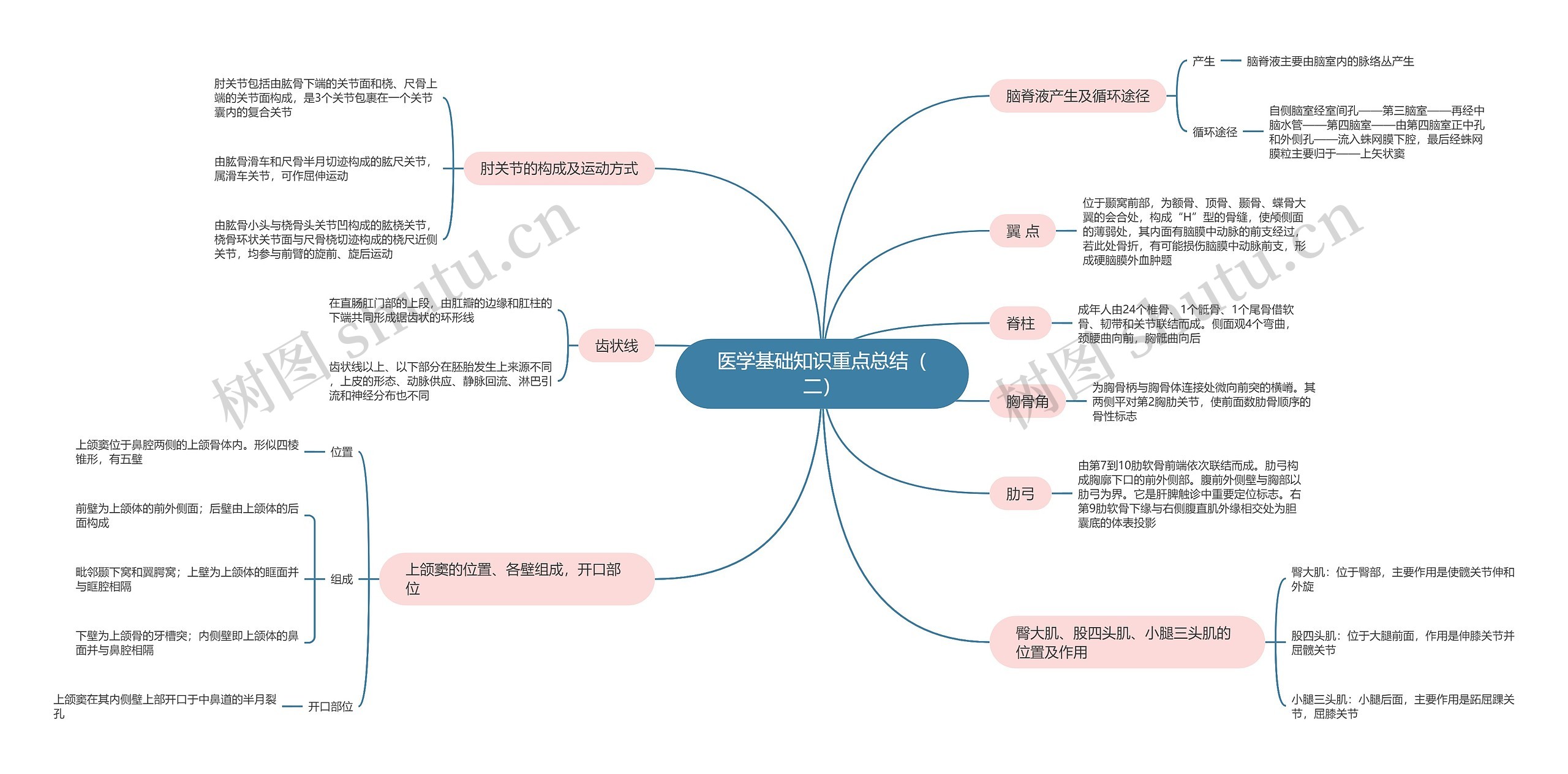 医学基础知识重点总结（二）思维导图