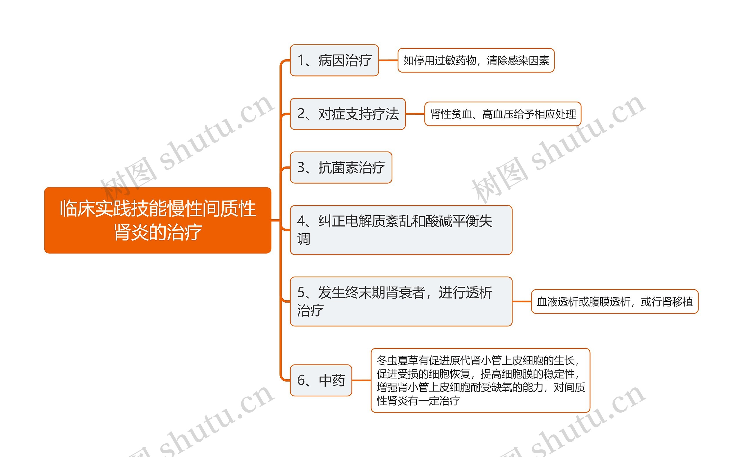 临床实践技能慢性间质性肾炎的治疗思维导图