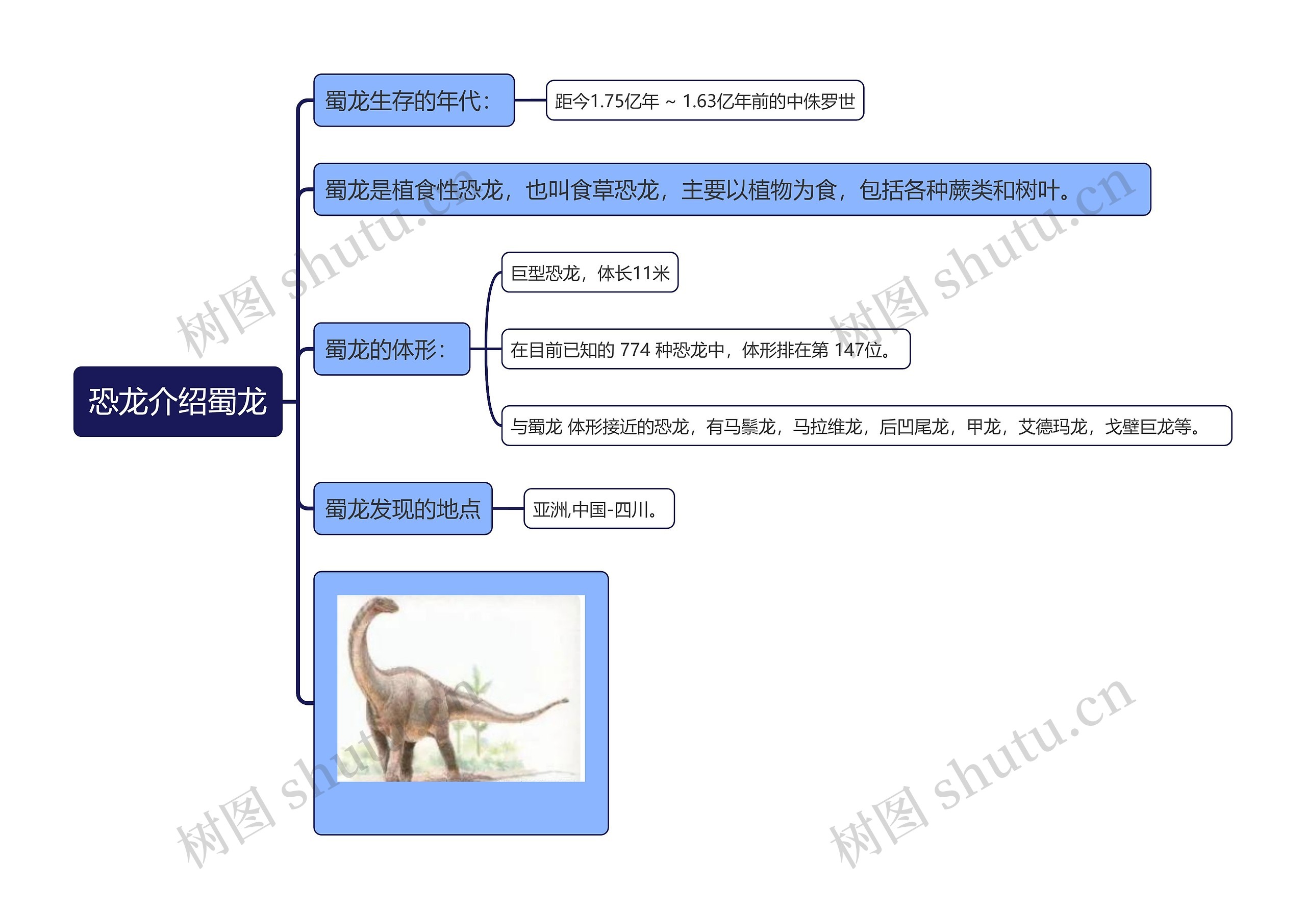 恐龙介绍蜀龙思维导图