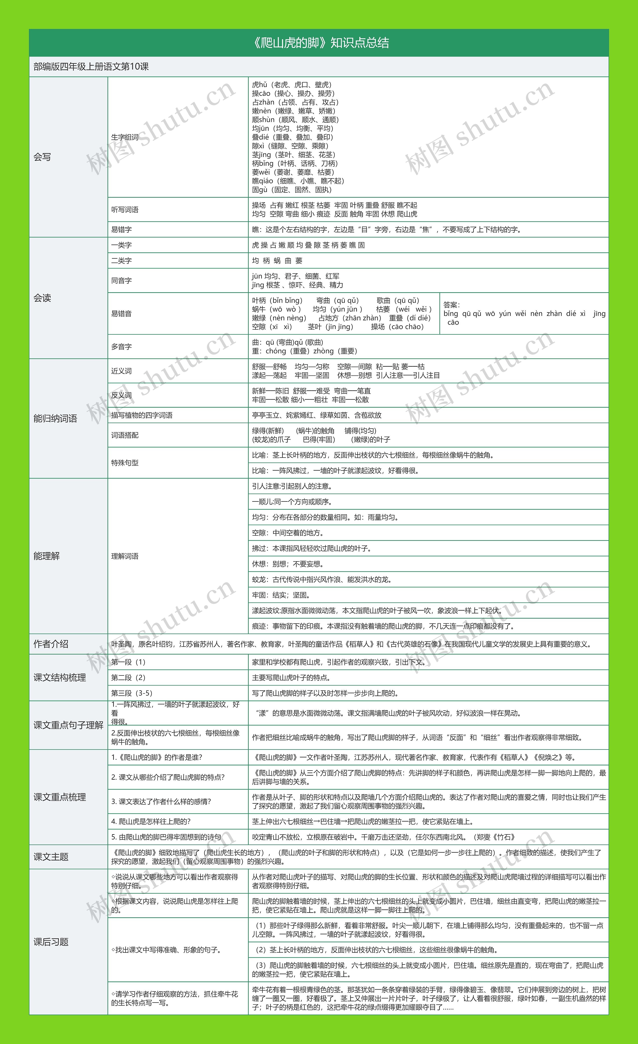 《爬山虎的脚》知识点总结