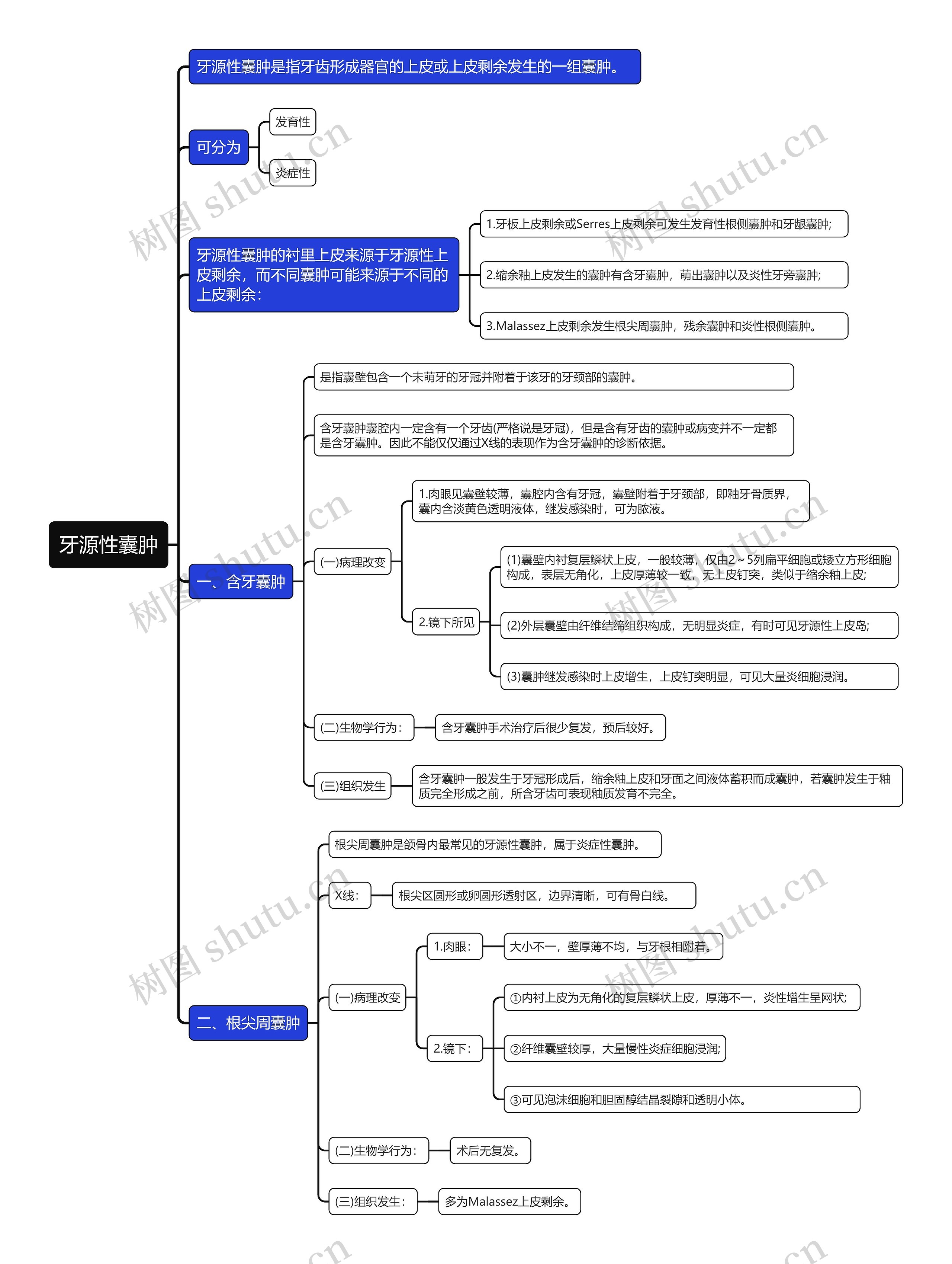 牙源性囊肿知识点思维导图