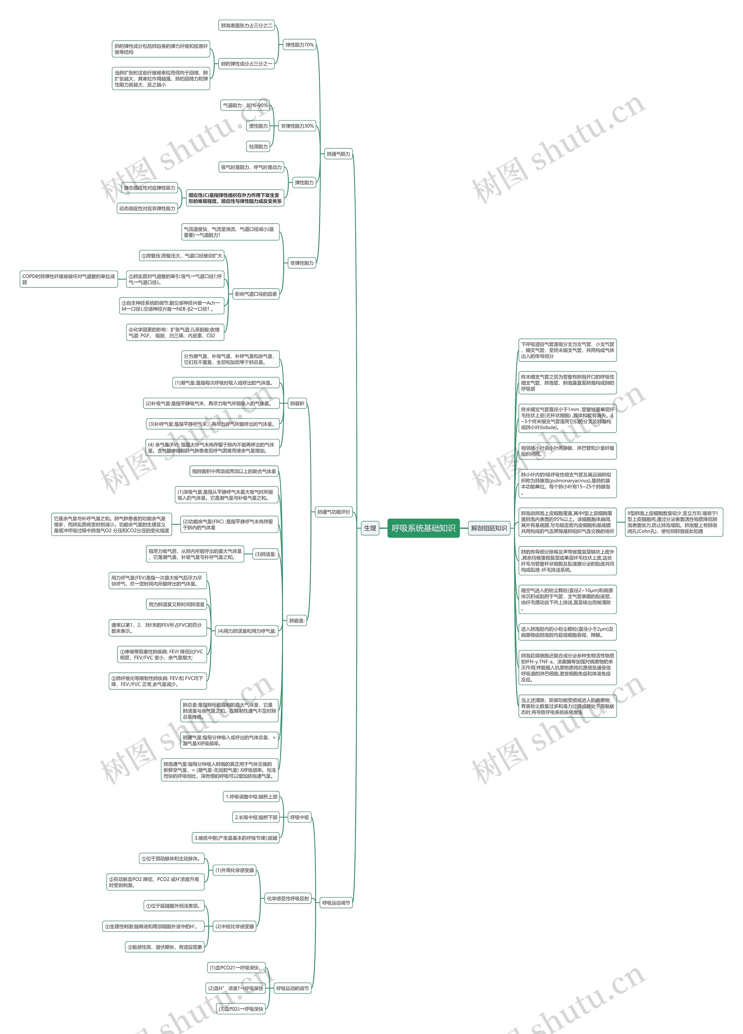 呼吸系统基础知识思维导图