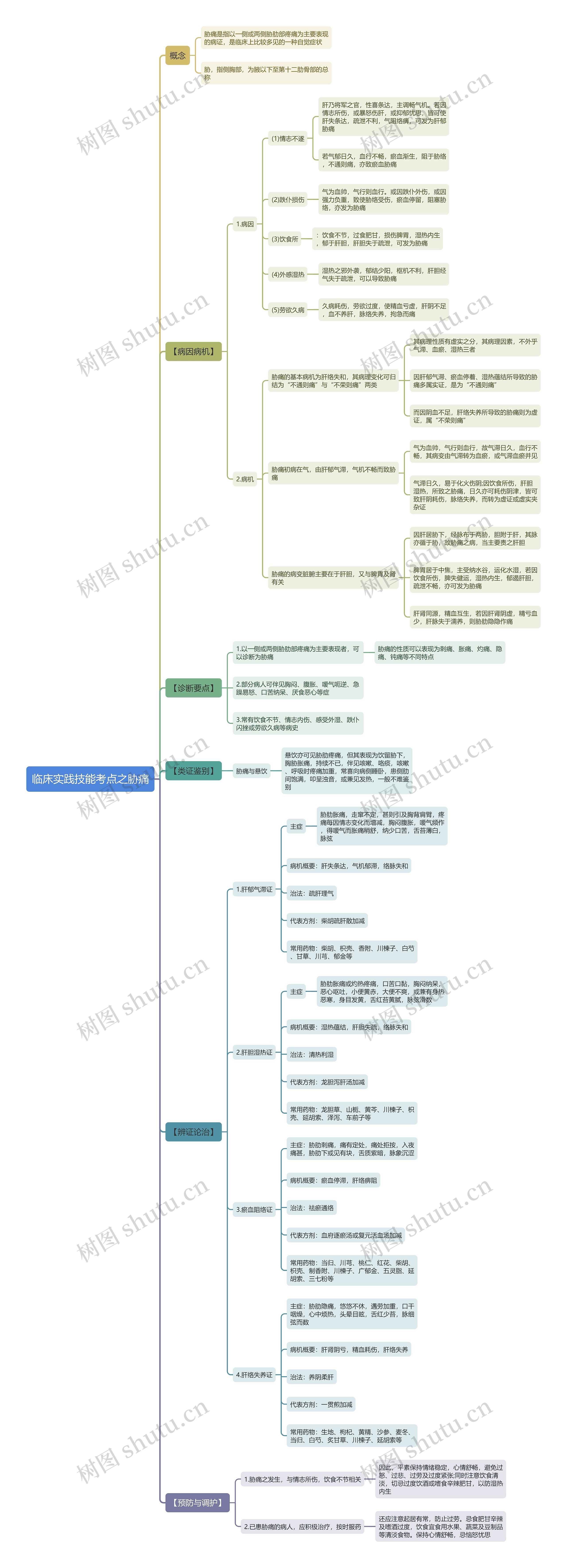 临床实践技能考点之胁痛思维导图