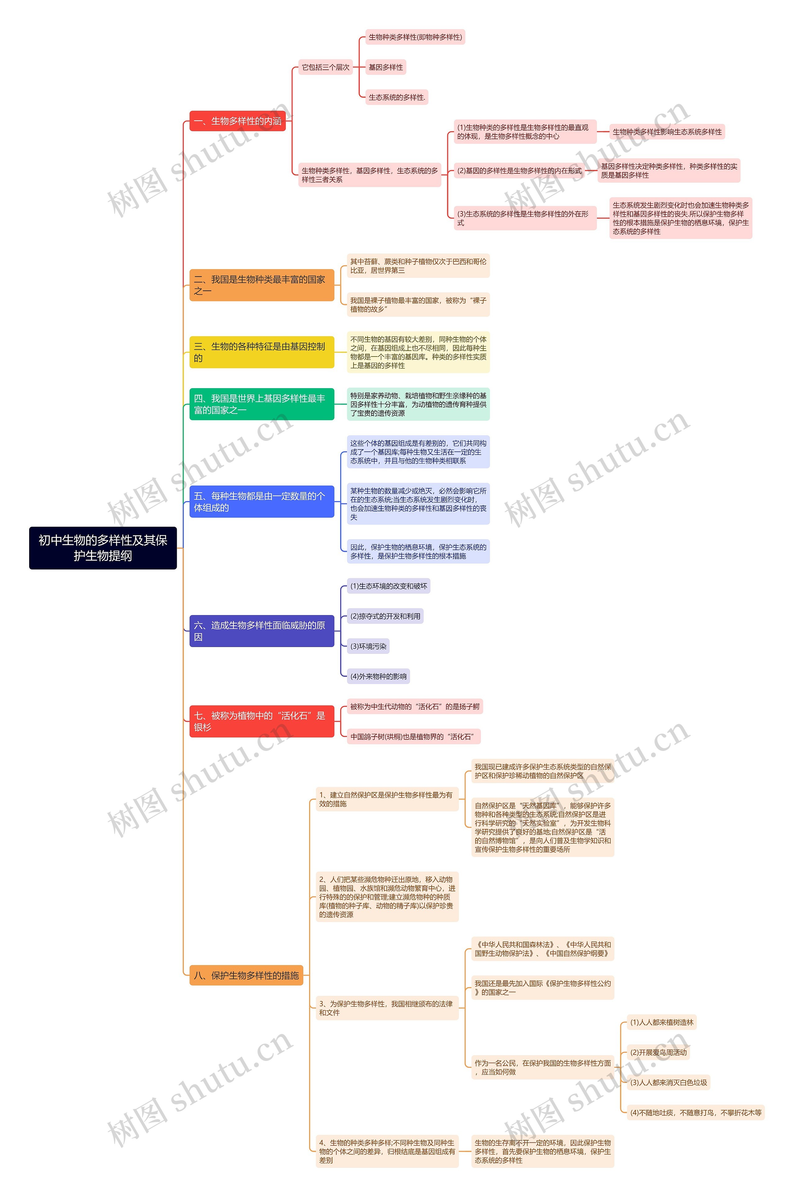 初中生物的多样性及其保护生物提纲思维导图