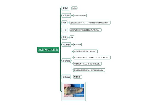 恐龙介绍2专辑-4