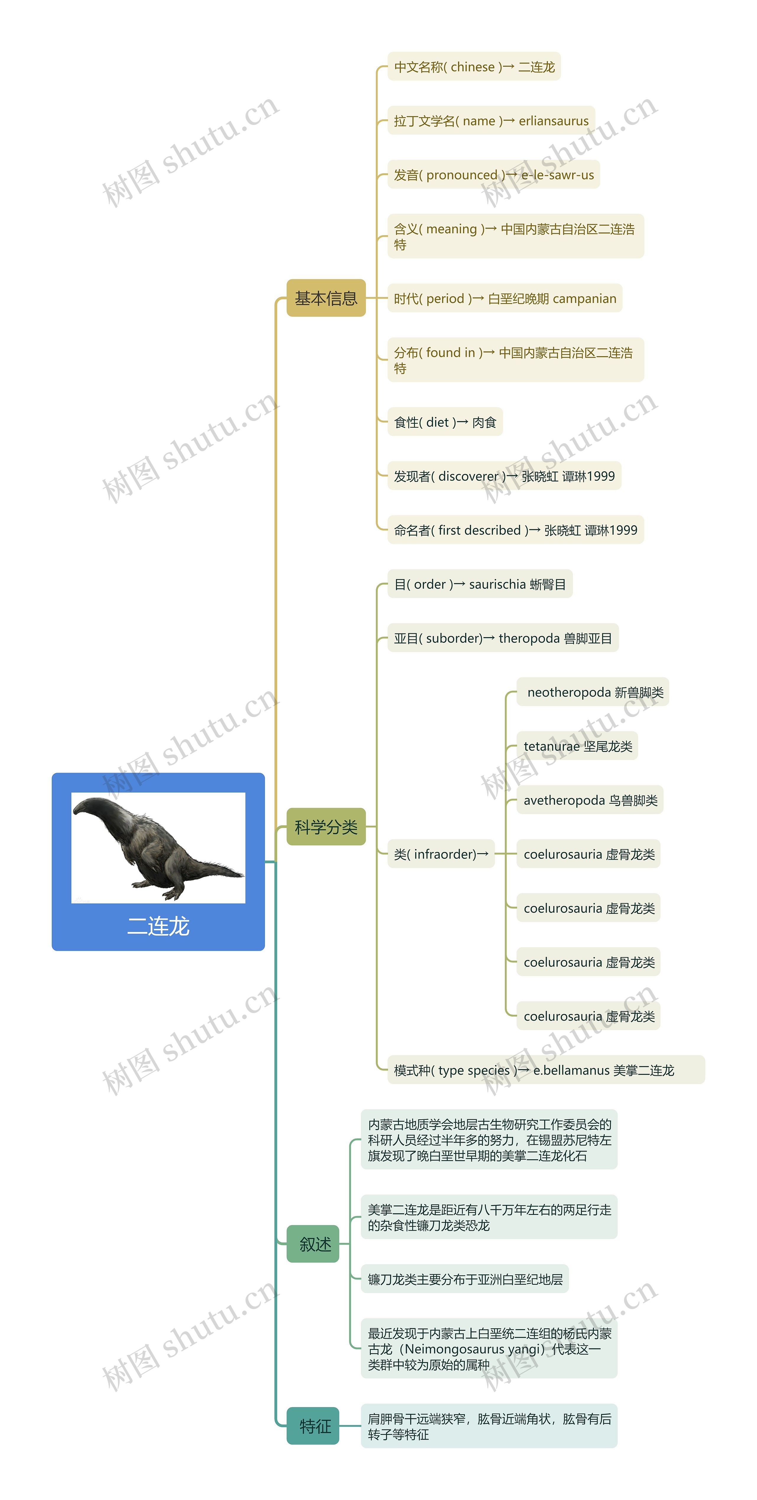 二连龙思维导图