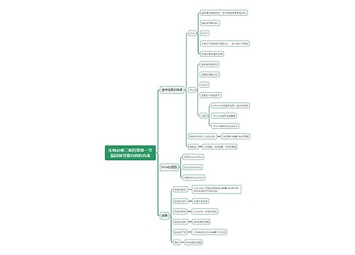 生物必修二第四章第一节基因指导蛋白质的合成思维导图