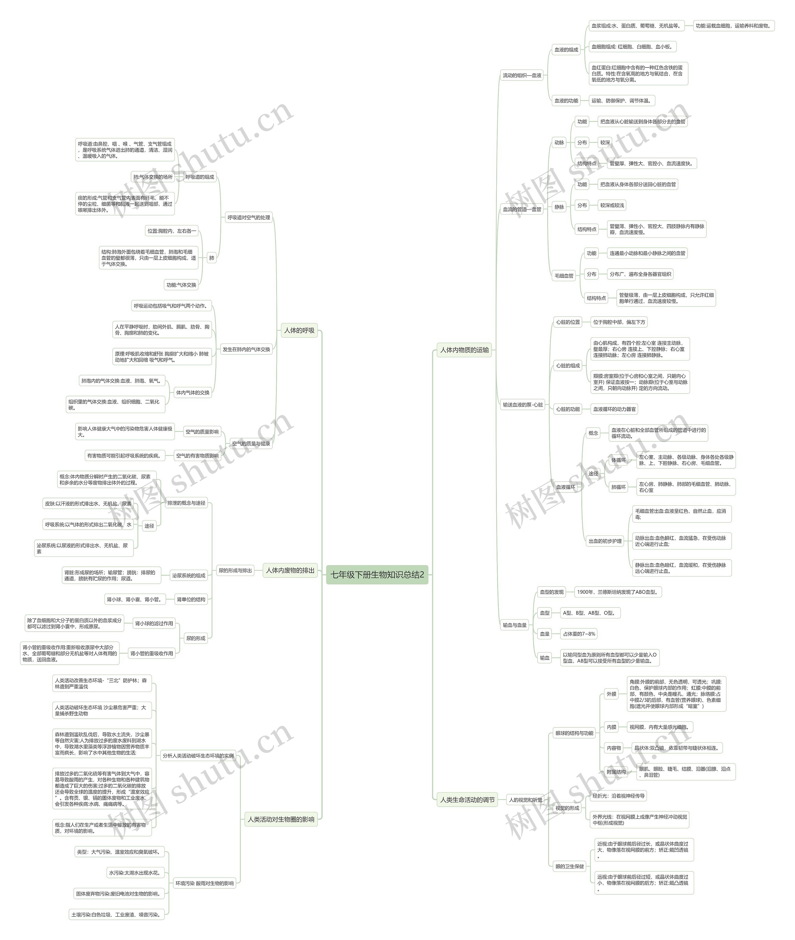 七年级下册生物知识点总结2思维导图