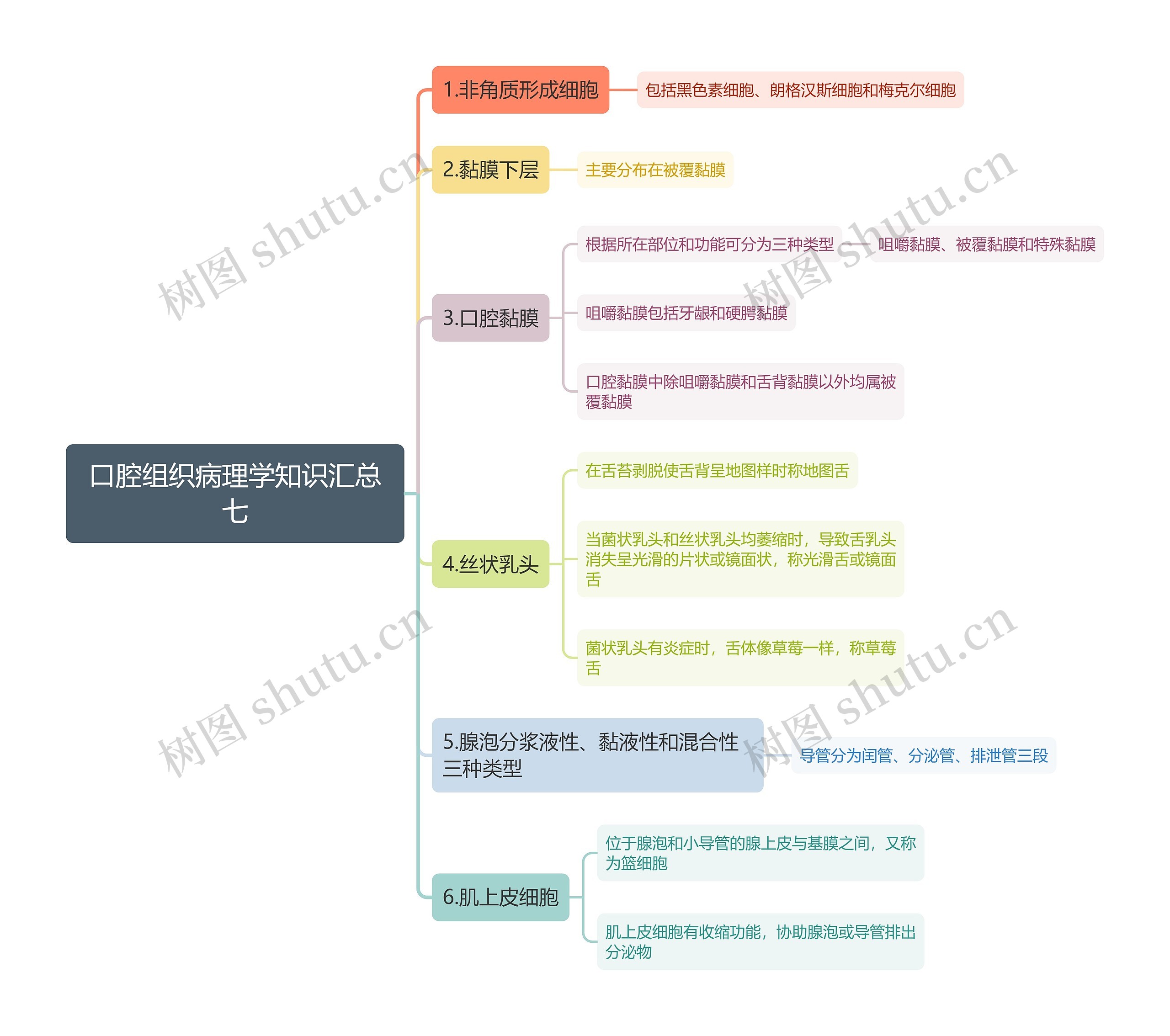 口腔组织病理学知识汇总七思维导图