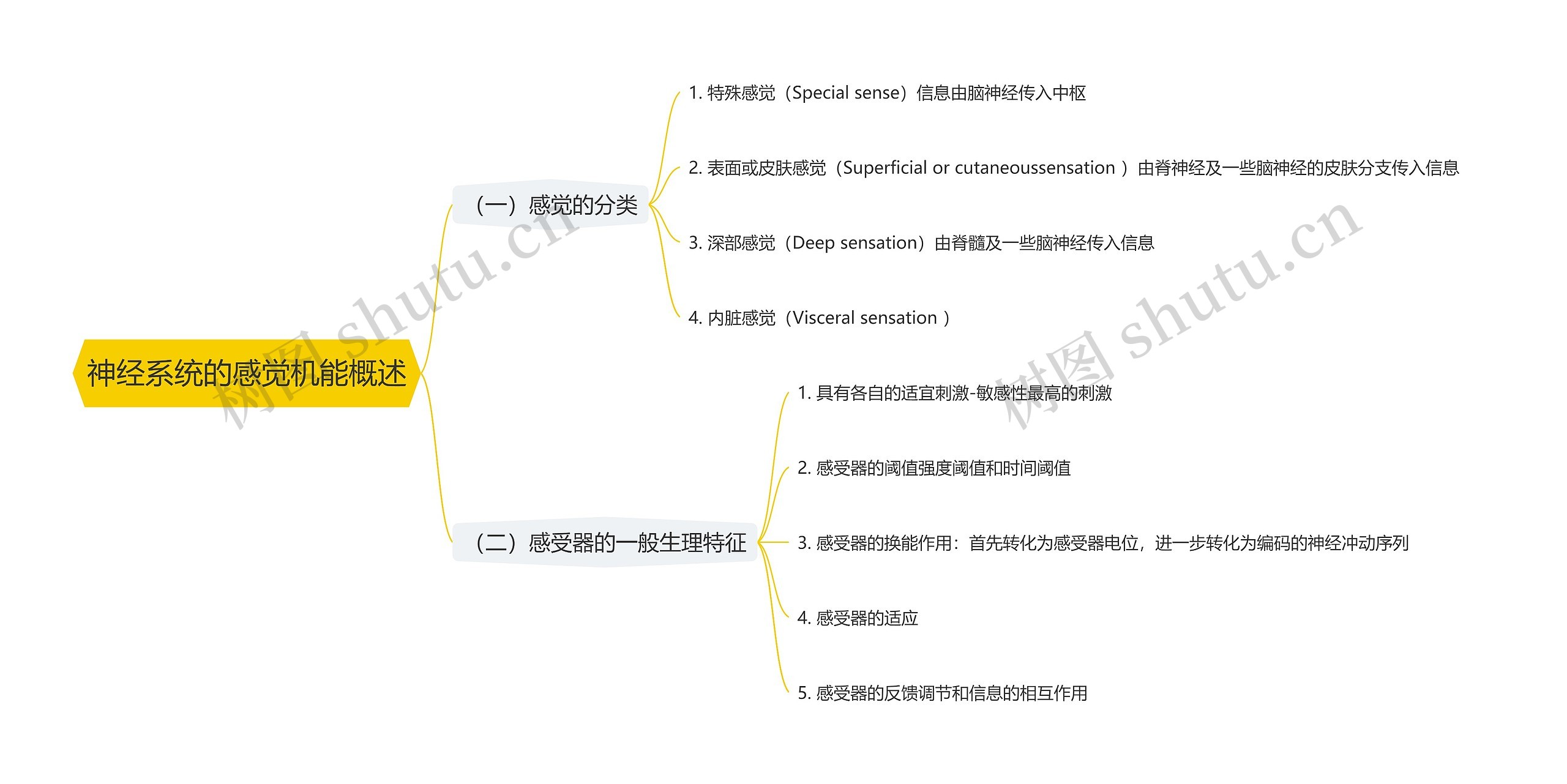 神经系统的感觉机能概述思维导图高清图 神经系统的感觉机能概述思维导图