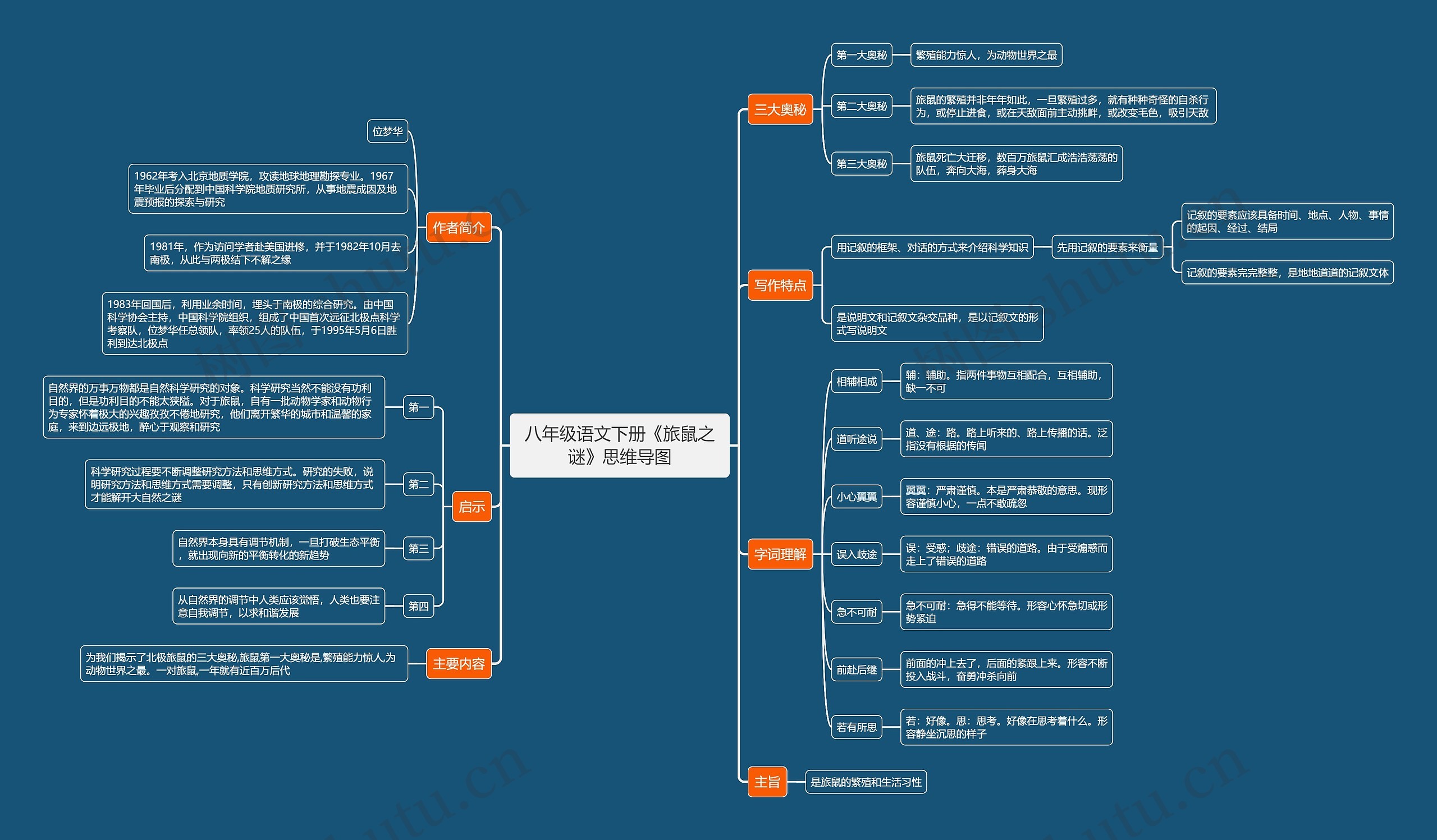 八年级语文下册《旅鼠之谜》思维导图