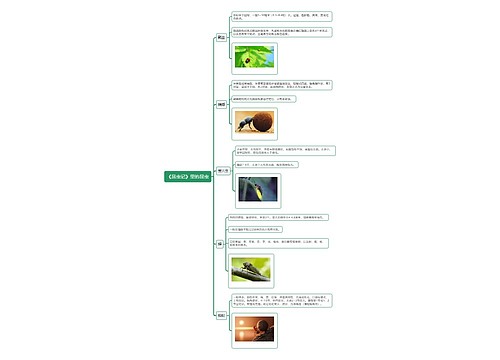 《昆虫记》里的昆虫思维导图