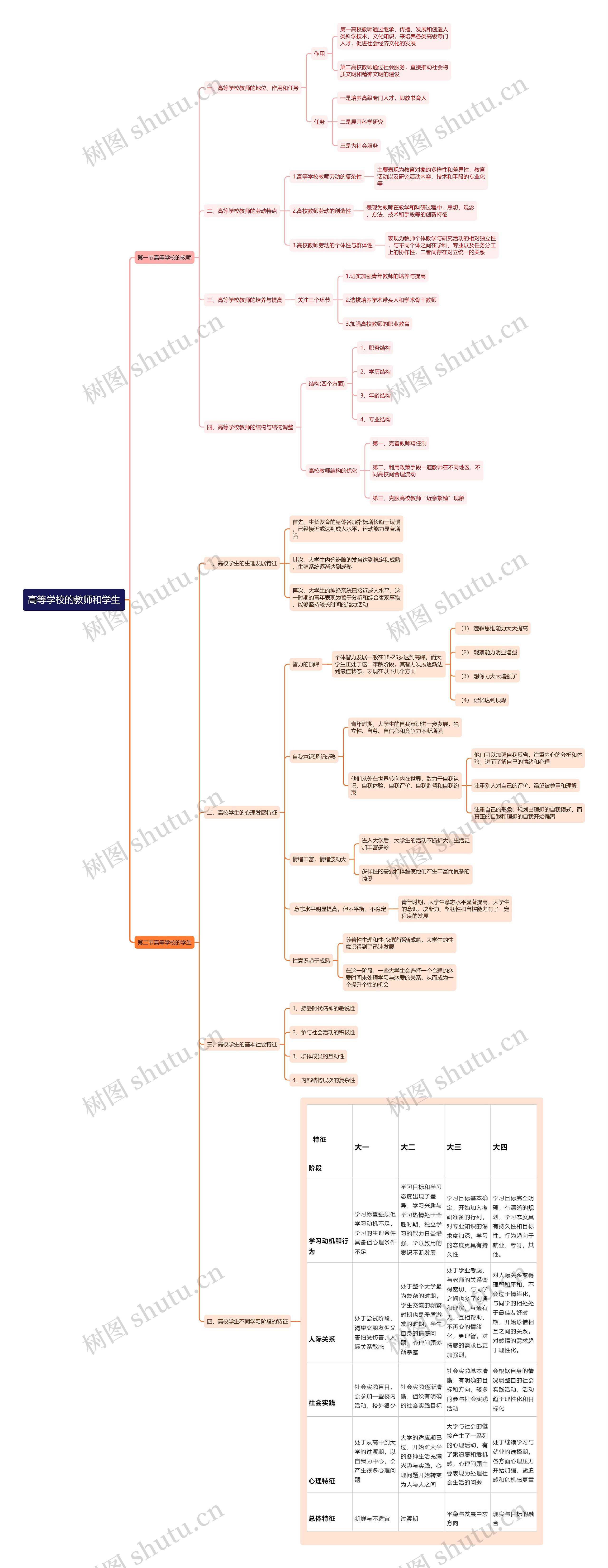 高等学校的教师和学生思维导图