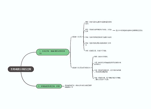 生物减数分裂的过程思维导图