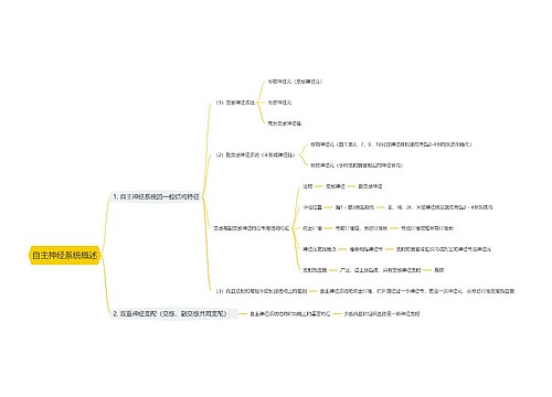 自主神经系统概述思维导图