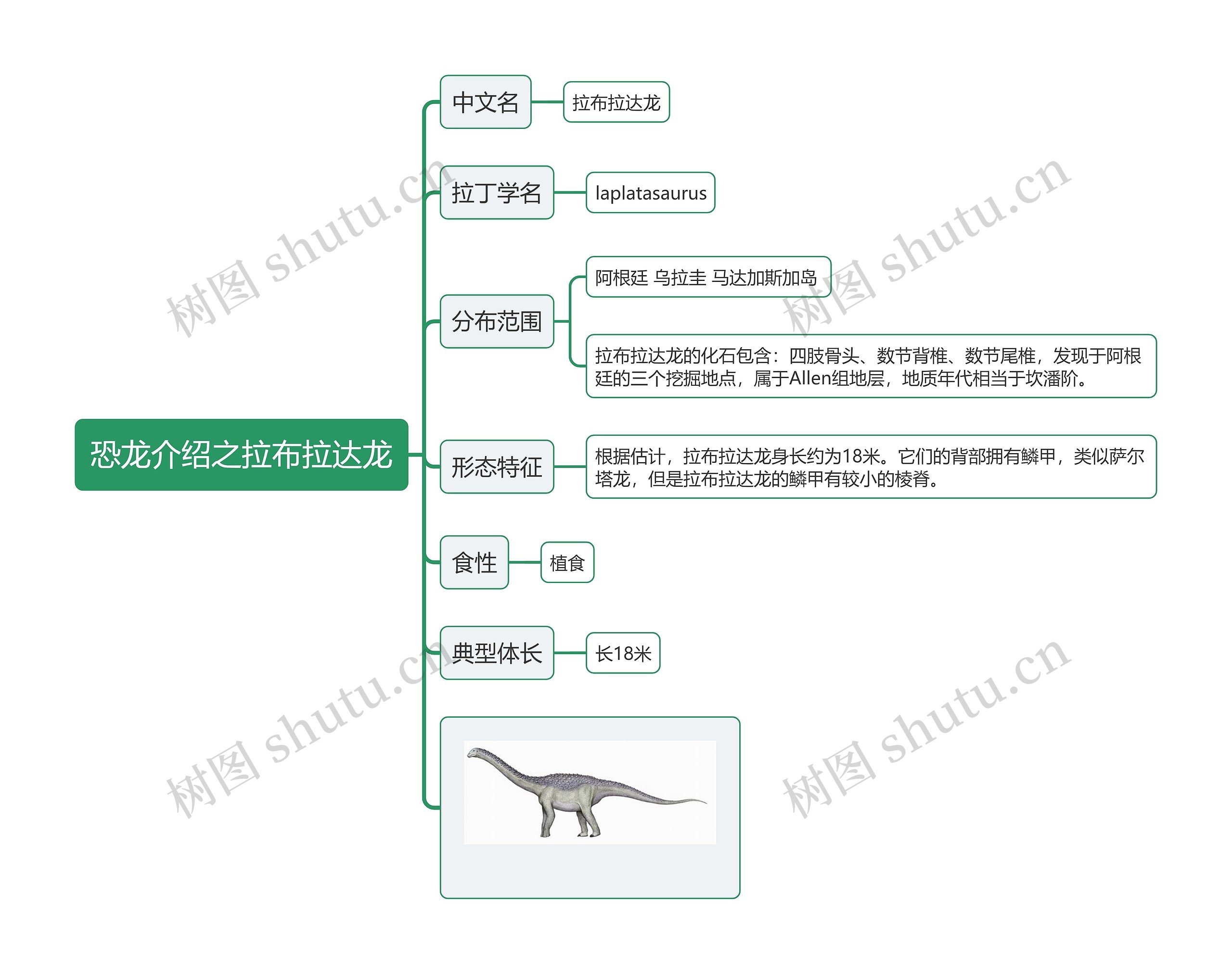 恐龙介绍之拉布拉达龙思维导图