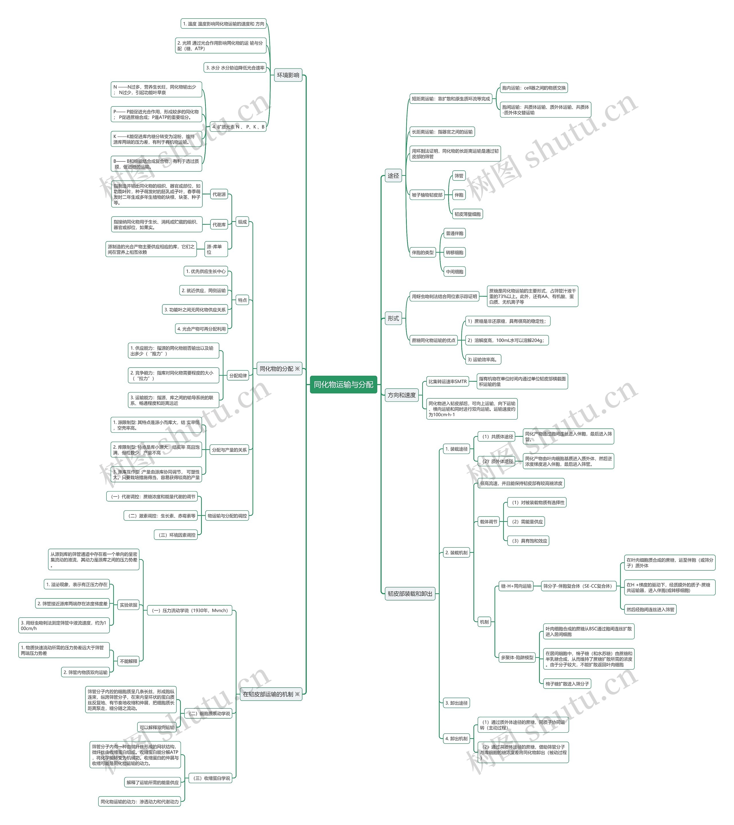 同化物运输与分配思维导图