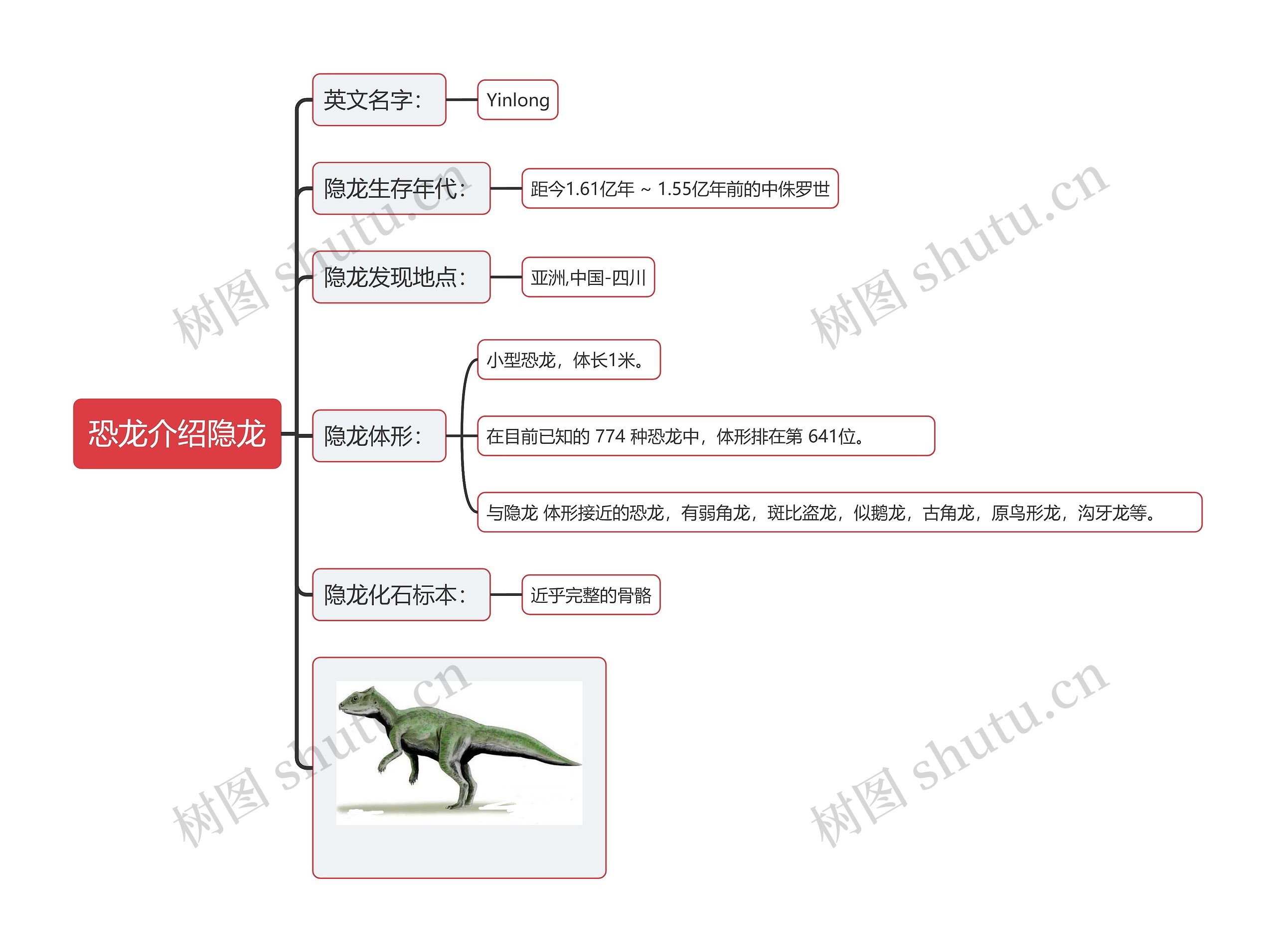 恐龙介绍隐龙