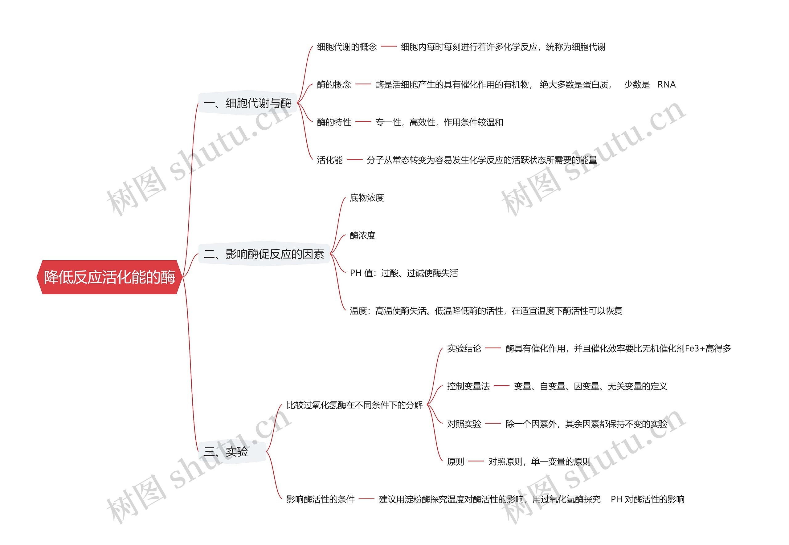 降低反应活化能的酶思维导图