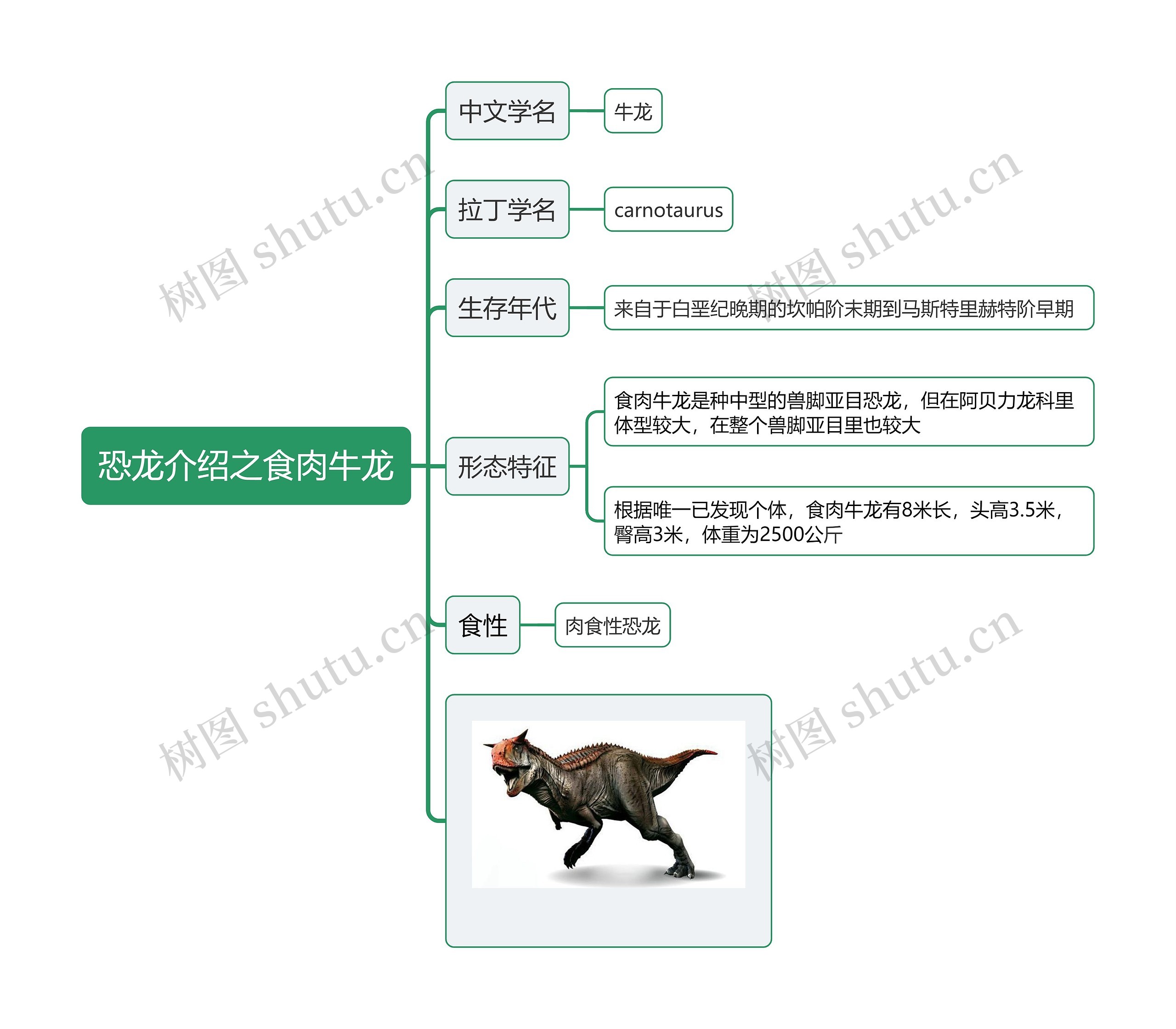 恐龙介绍之食肉牛龙思维导图