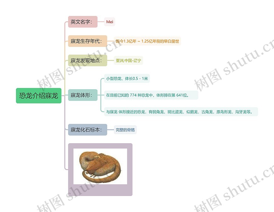 恐龙介绍寐龙思维导图_编号t3183483-TreeMind树图