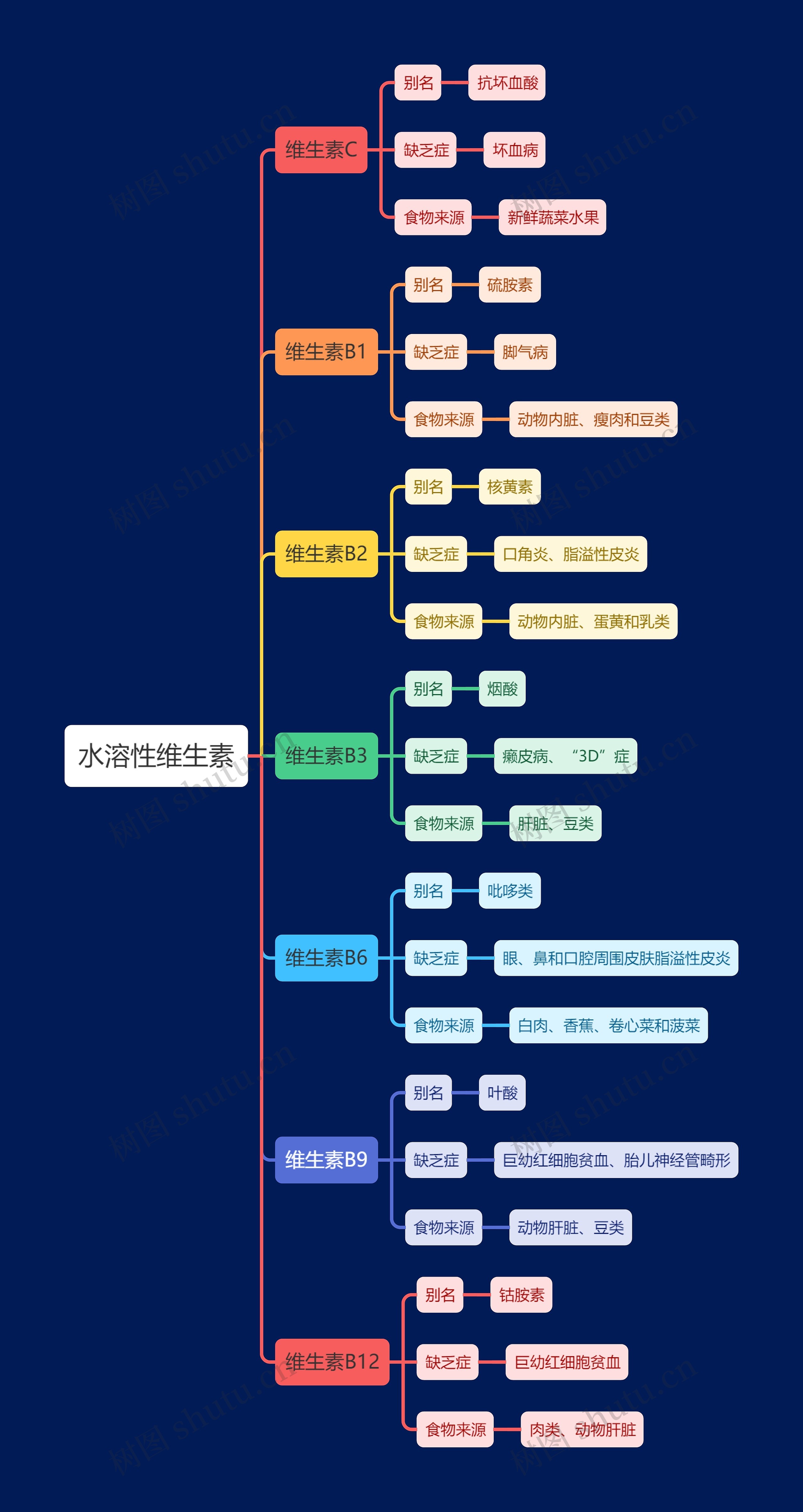 水溶性维生素思维导图