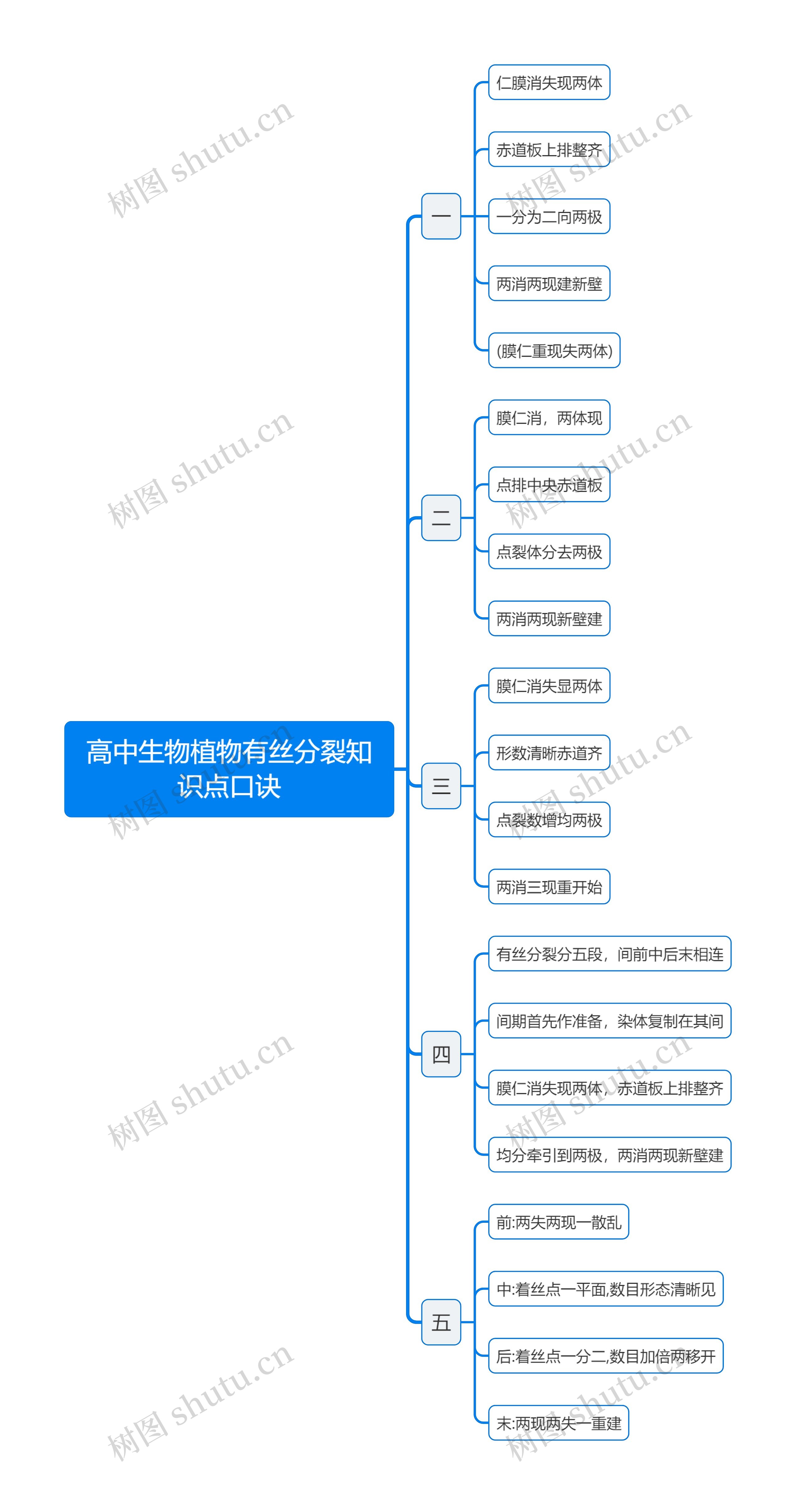 高中生物植物有丝分裂口诀思维导图