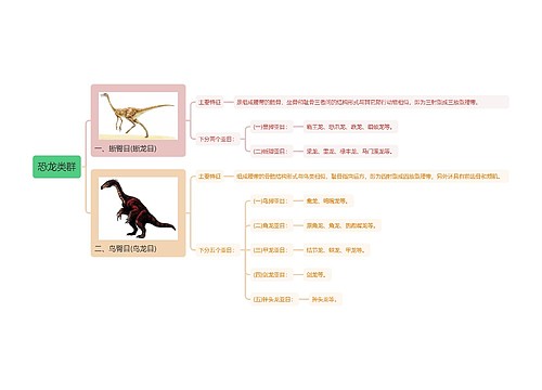 恐龙类群思维导图