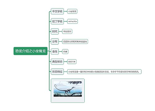 恐龙介绍之小坐骨龙思维导图