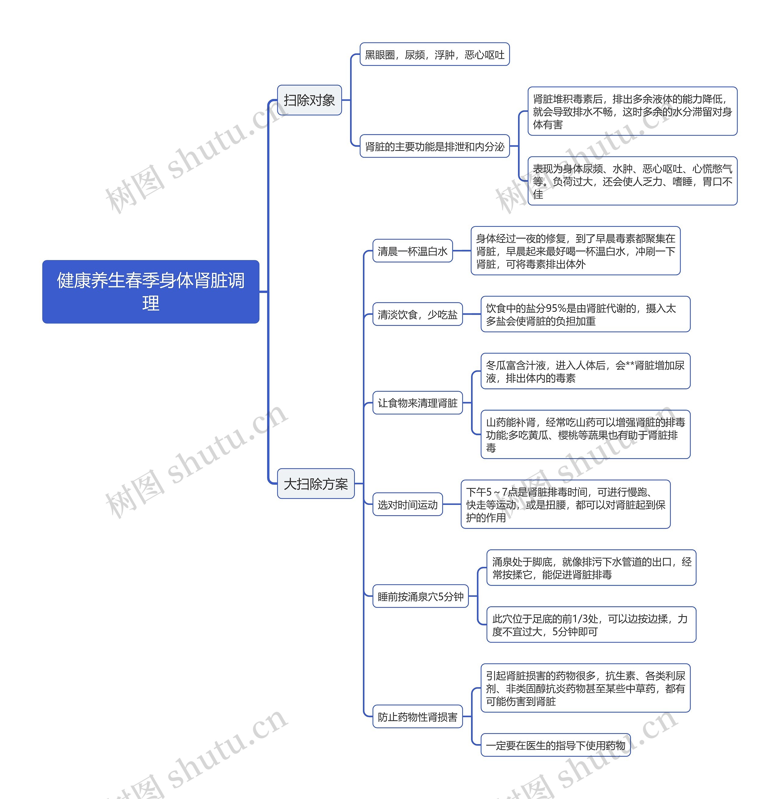 健康养生春季身体肾脏调理思维导图